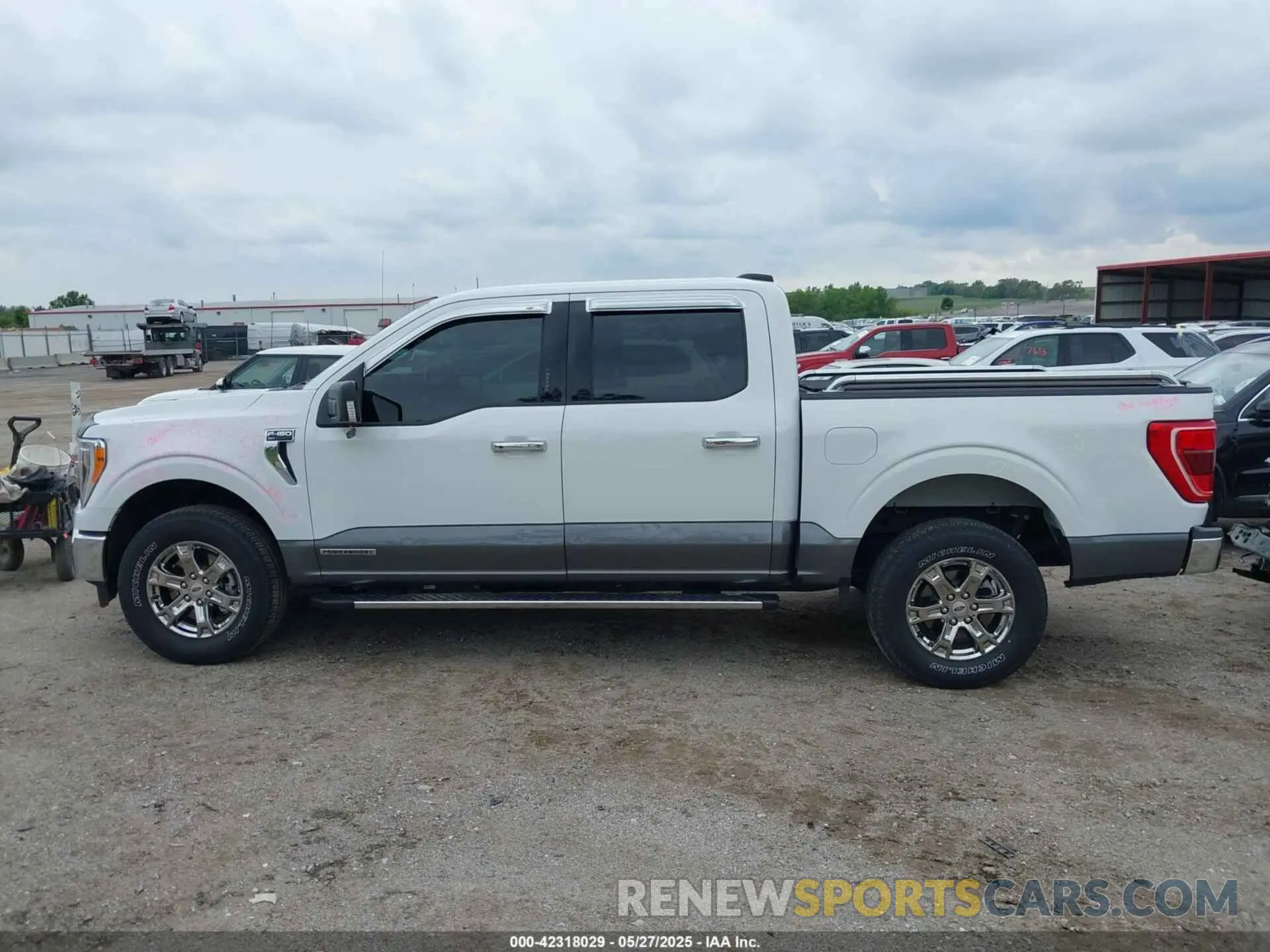 14 Photograph of a damaged car 1FTFW1ED7MFB36946 FORD F-150 2021