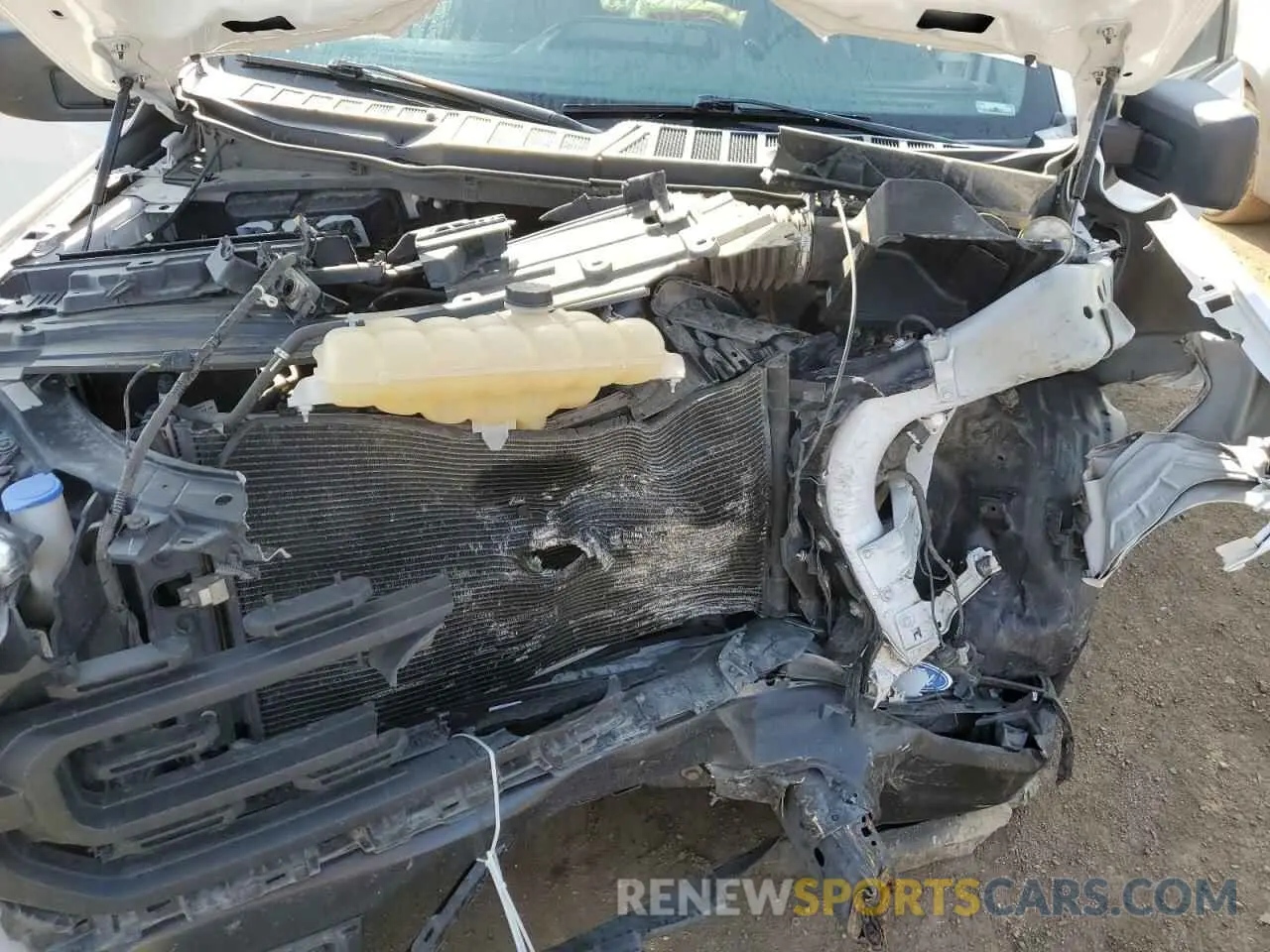 11 Photograph of a damaged car 1FTFX1E53MFA85712 FORD F-150 2021