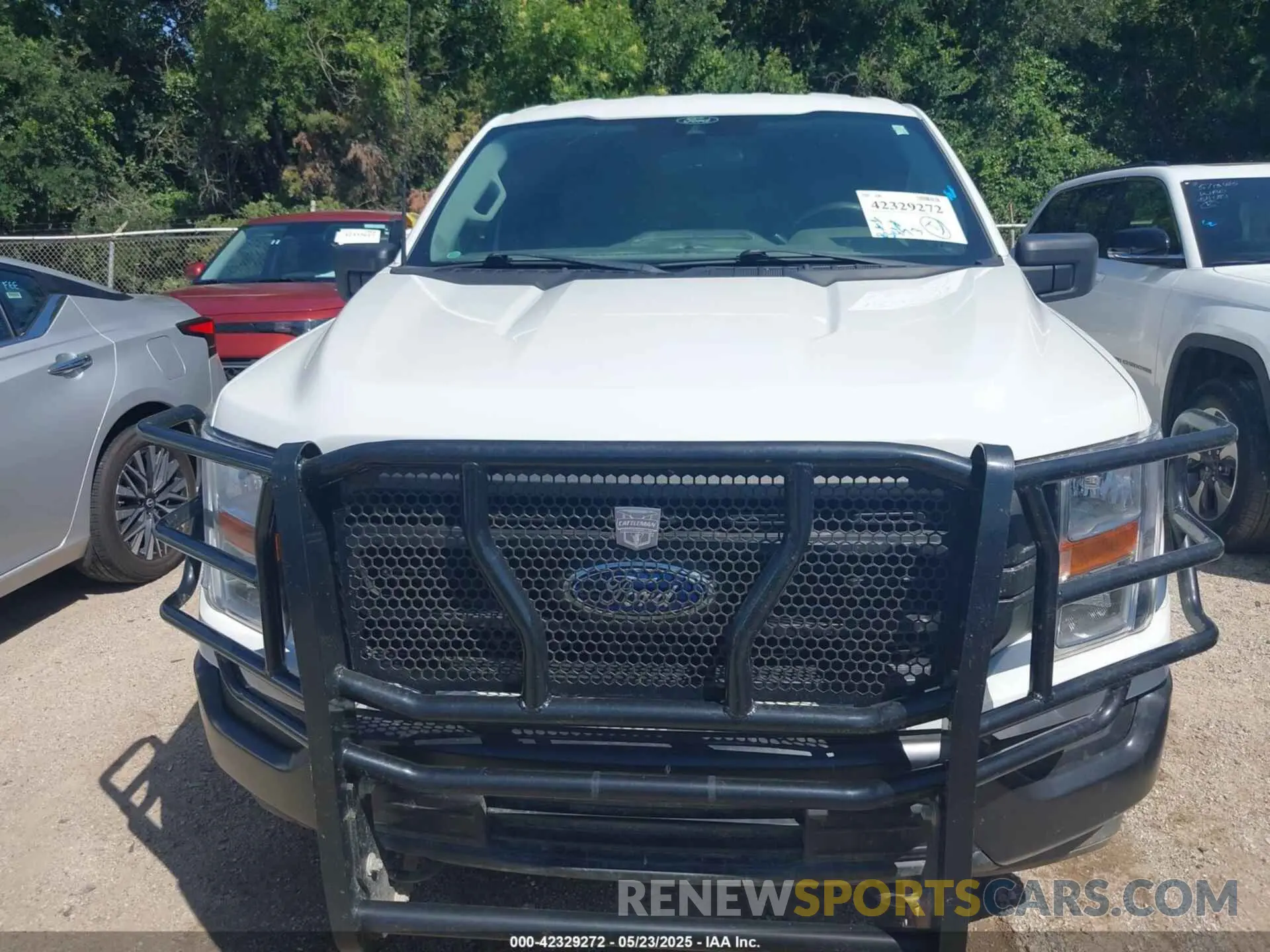 6 Photograph of a damaged car 1FTFX1E56MFD09555 FORD F-150 2021