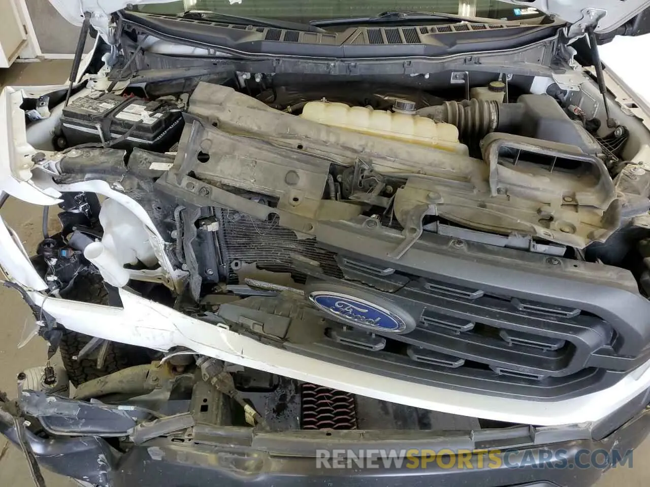 11 Photograph of a damaged car 1FTFX1E57MKE48925 FORD F-150 2021