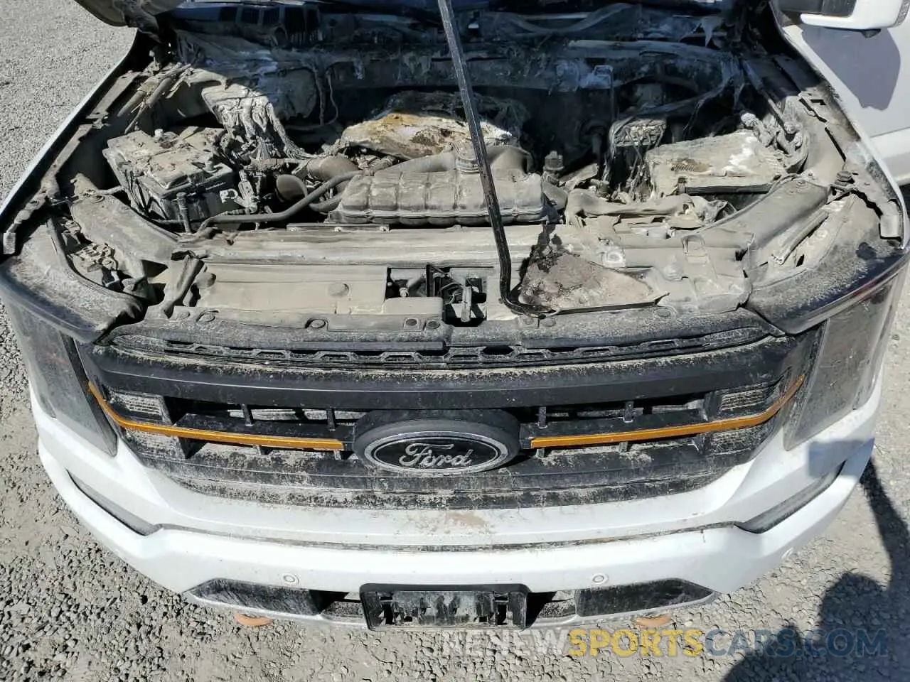 11 Photograph of a damaged car 1FTEW1E87NFA71998 FORD F-150 2022