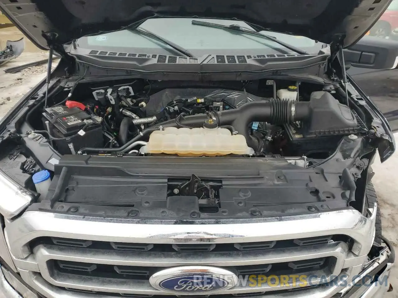 11 Photograph of a damaged car 1FTEW1EPXNKD65345 FORD F-150 2022