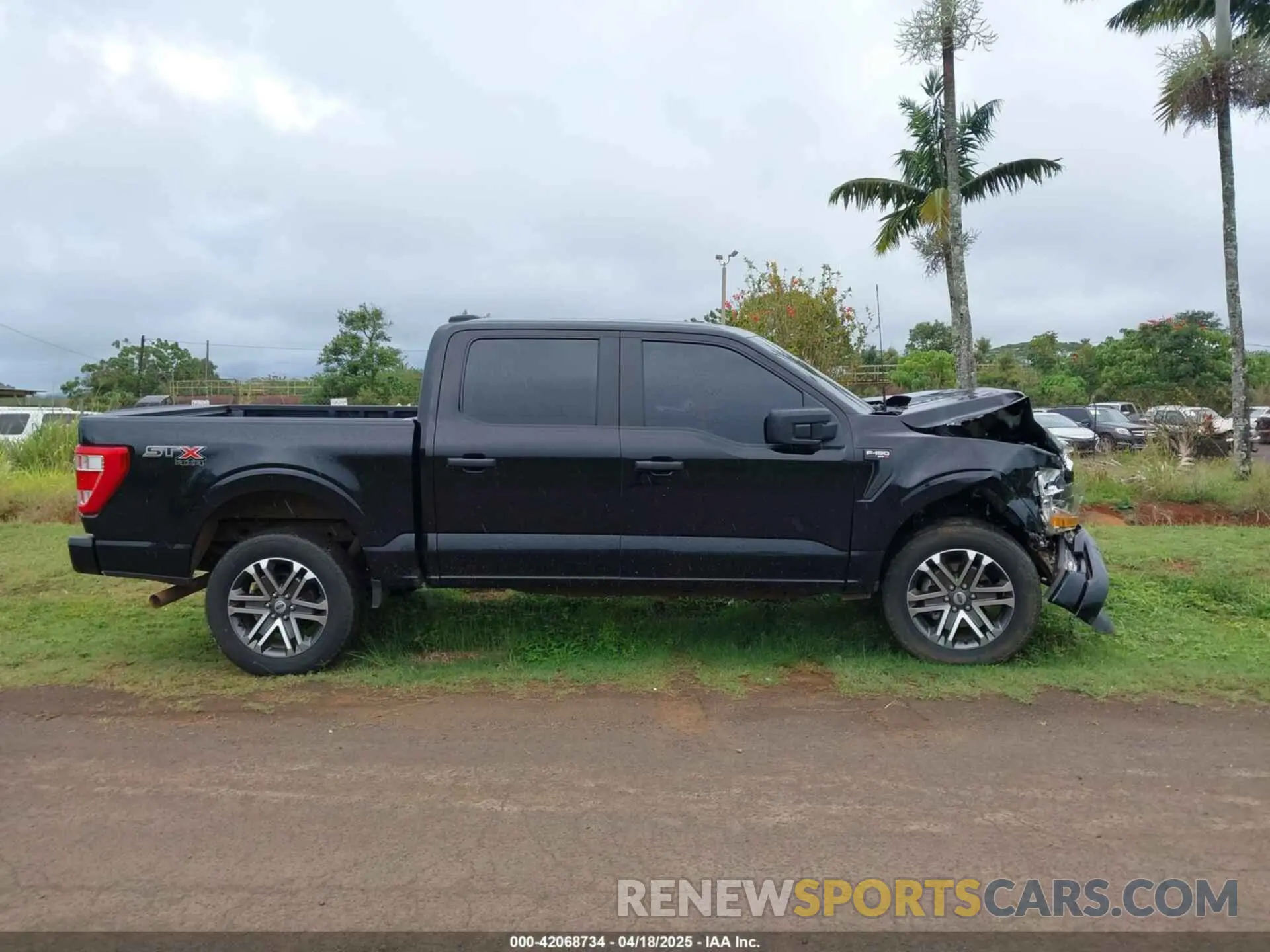 13 Photograph of a damaged car 1FTFW1E52NKD42015 FORD F-150 2022