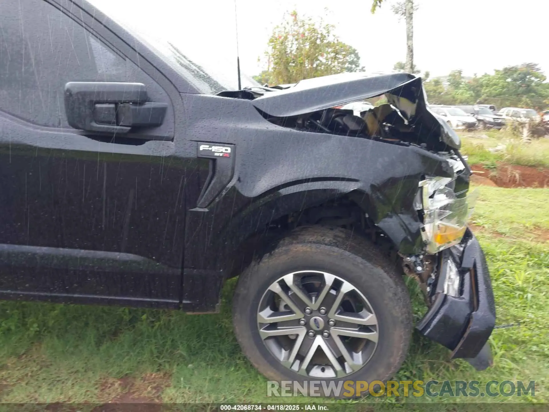 19 Photograph of a damaged car 1FTFW1E52NKD42015 FORD F-150 2022