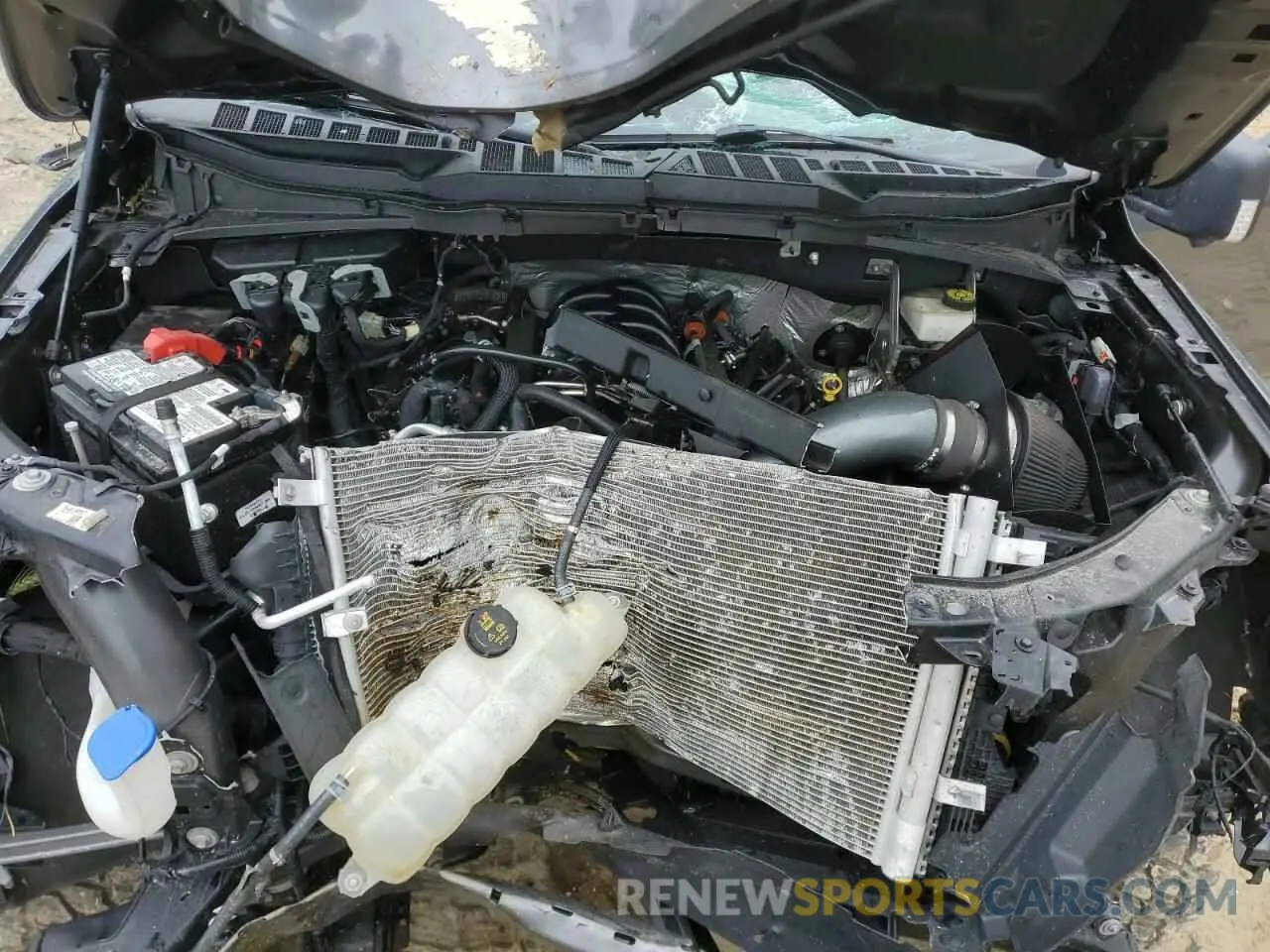 11 Photograph of a damaged car 1FTFW1E54NFC33872 FORD F-150 2022
