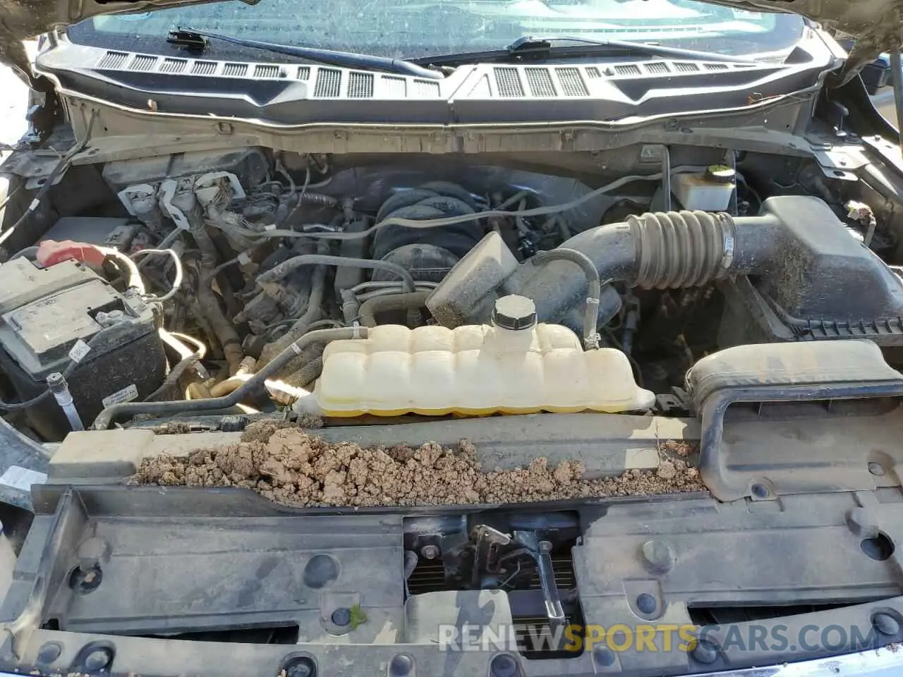 13 Photograph of a damaged car 1FTFW1E55NKF10746 FORD F-150 2022