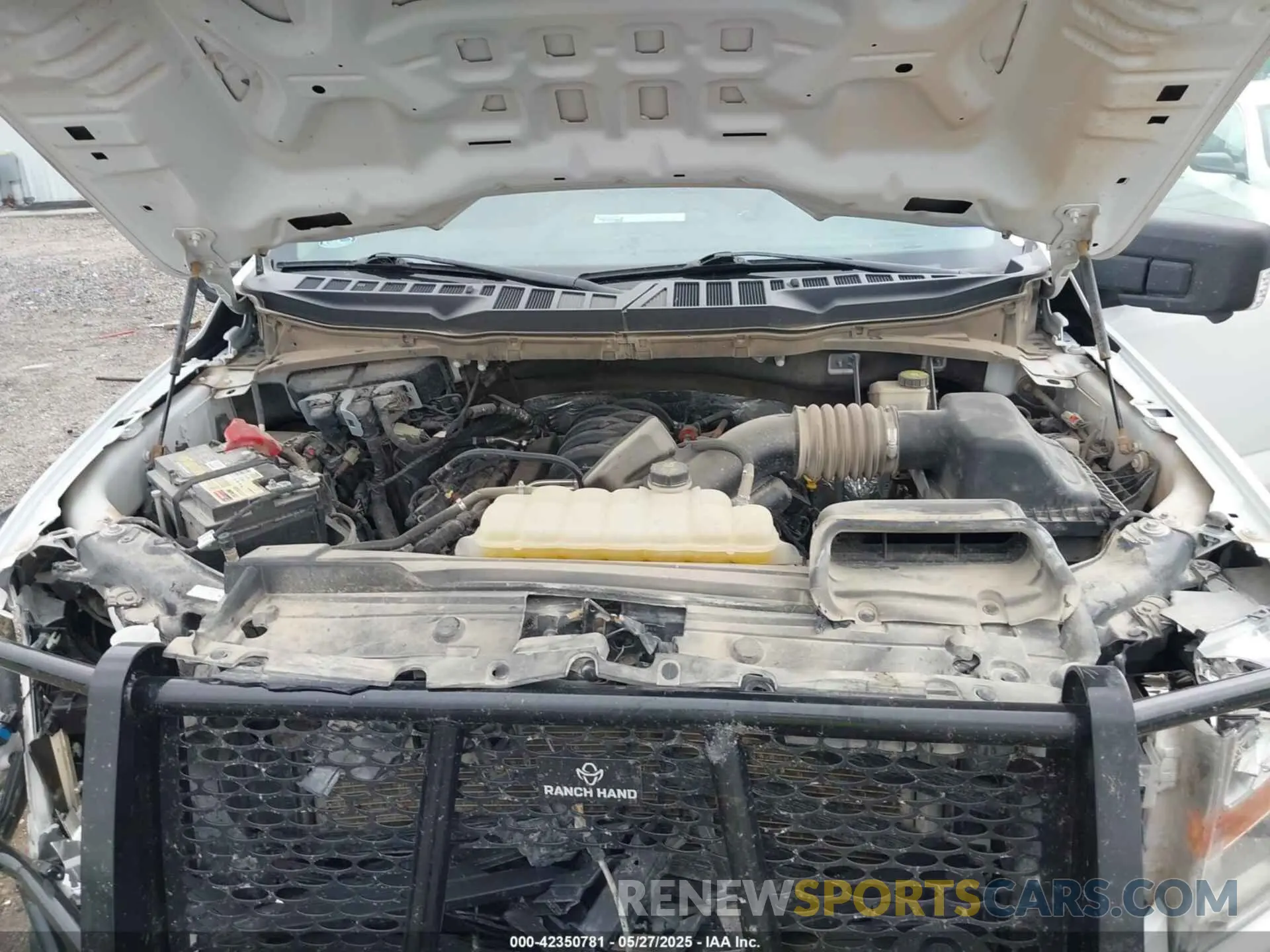 10 Photograph of a damaged car 1FTFW1E56NKE55451 FORD F-150 2022