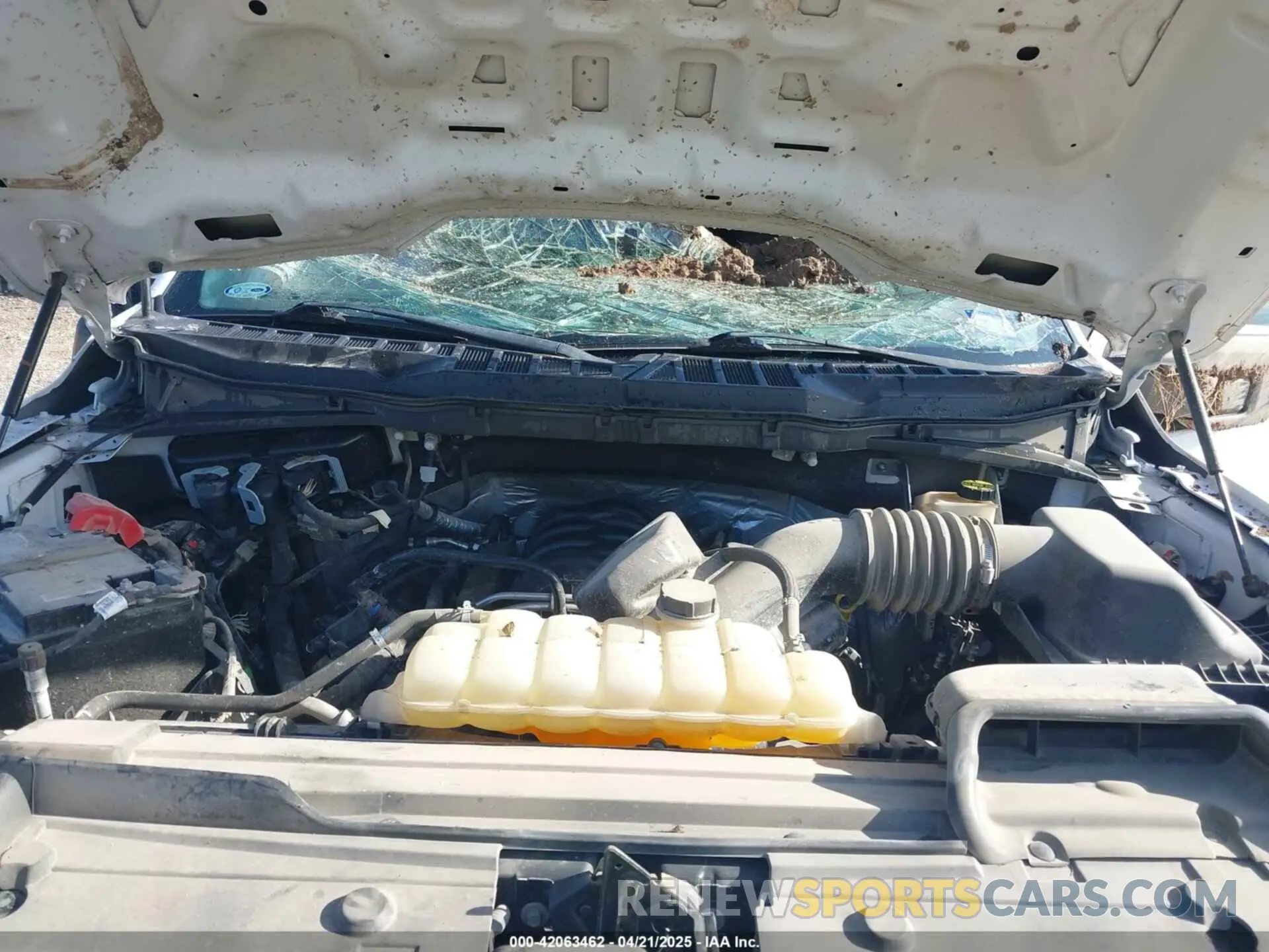 10 Photograph of a damaged car 1FTFW1E58NKD55917 FORD F-150 2022