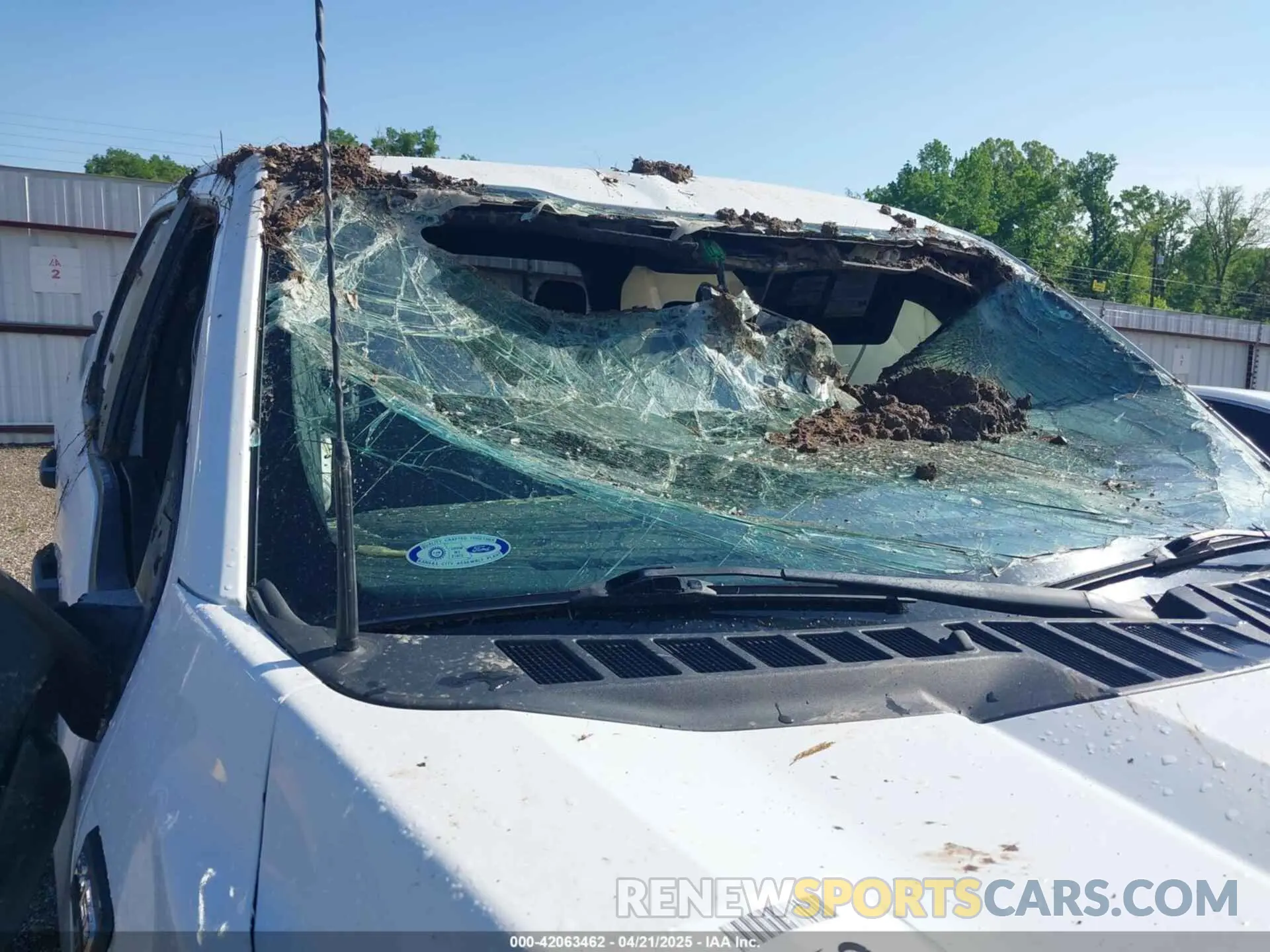 19 Photograph of a damaged car 1FTFW1E58NKD55917 FORD F-150 2022