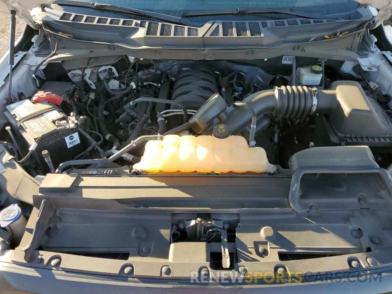 13 Photograph of a damaged car 1FTFW1E59NFA04488 FORD F-150 2022