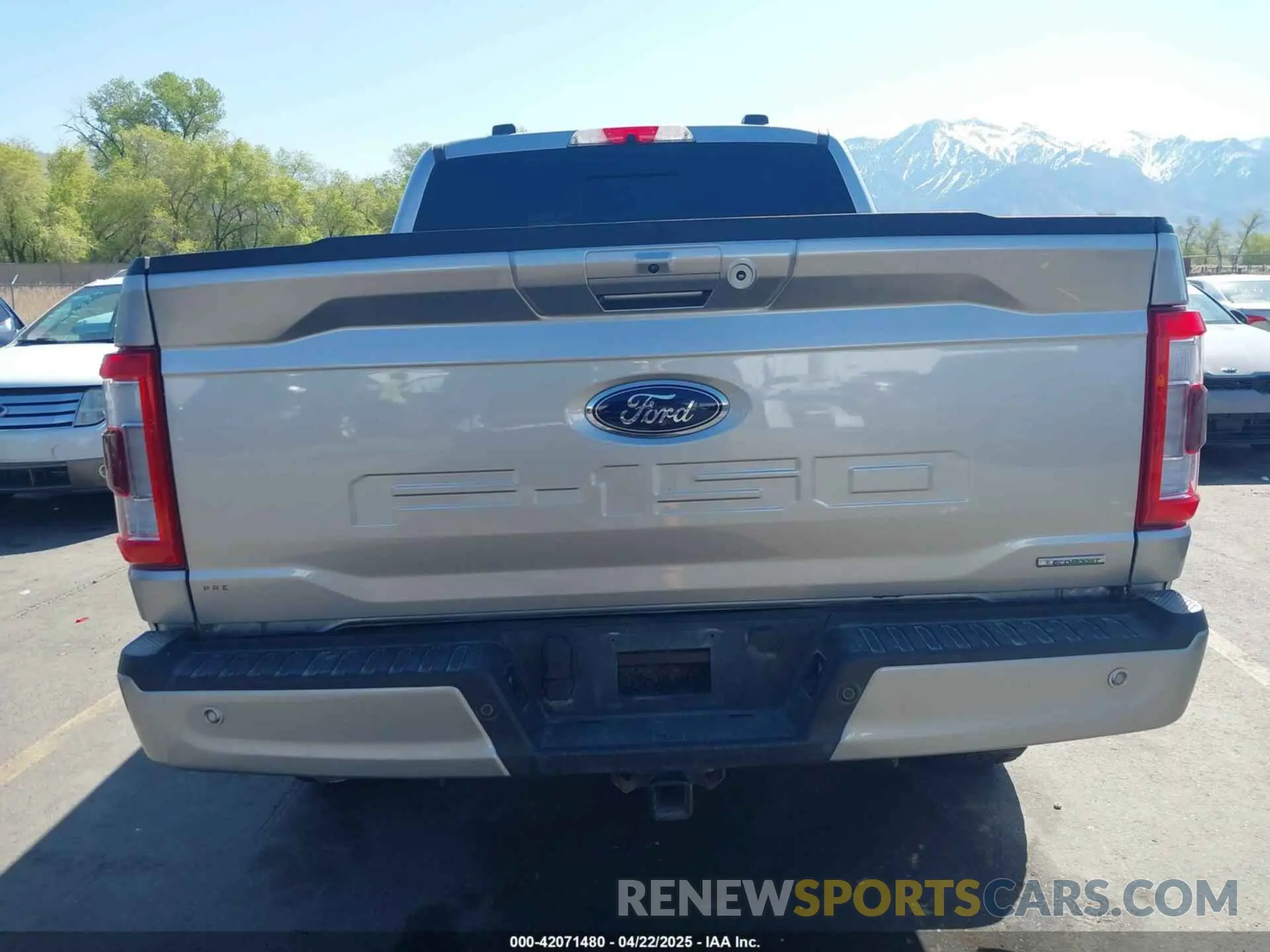 17 Photograph of a damaged car 1FTFW1E84NFC32330 FORD F-150 2022