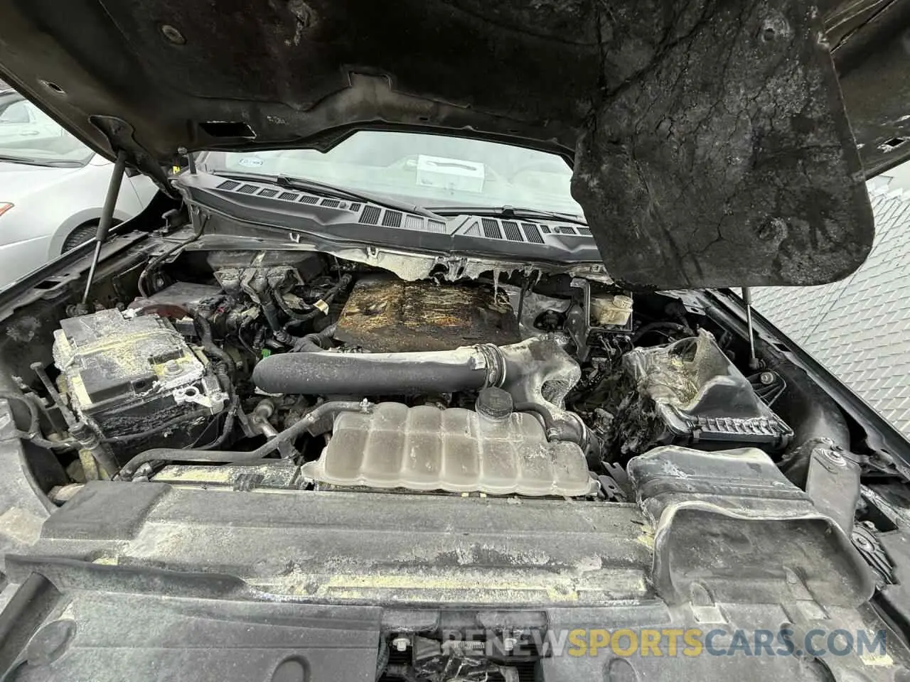 11 Photograph of a damaged car 1FTFW1E84NKE36259 FORD F-150 2022