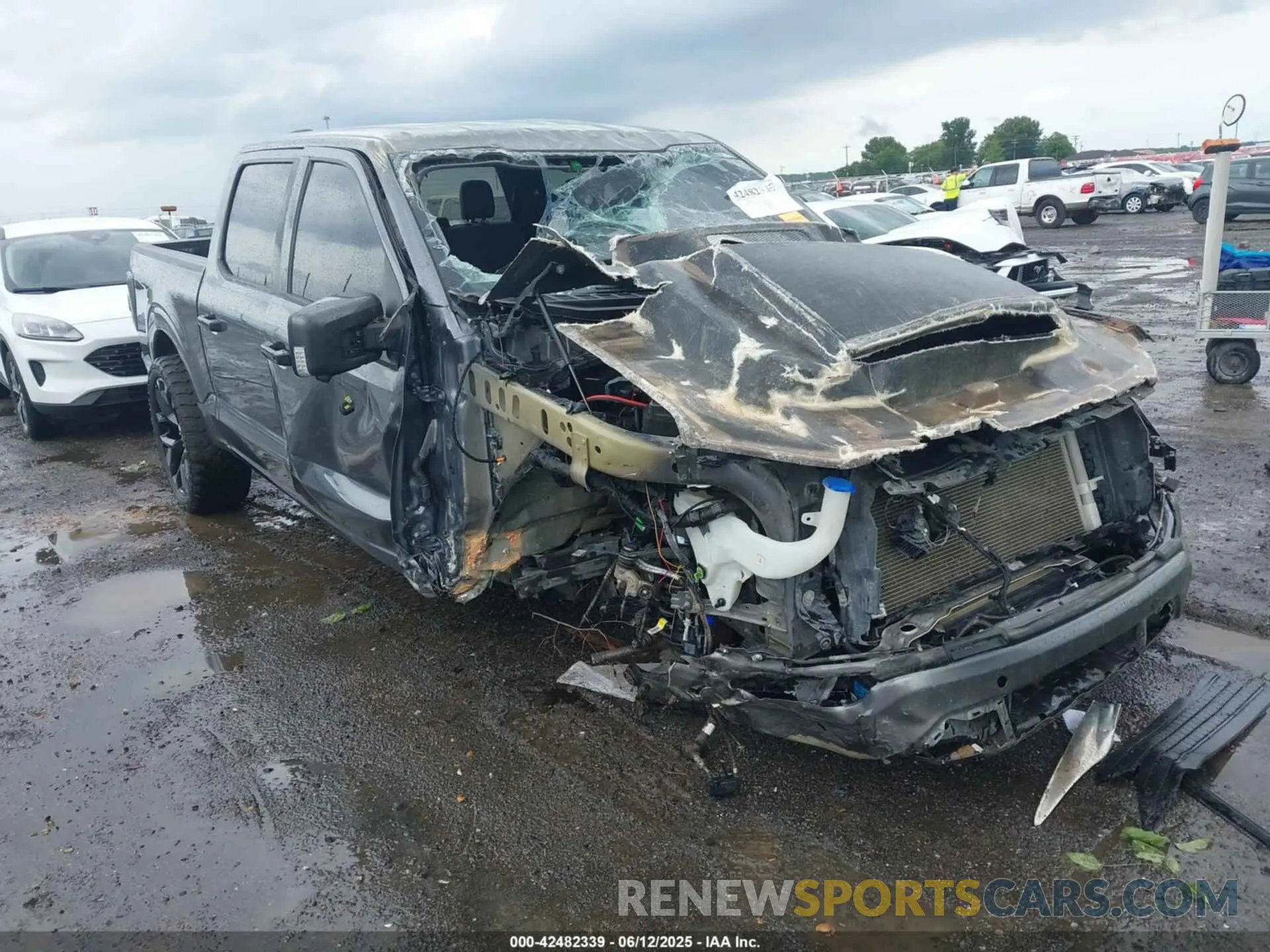 6 Photograph of a damaged car 1FTFW1E87NKD22319 FORD F-150 2022