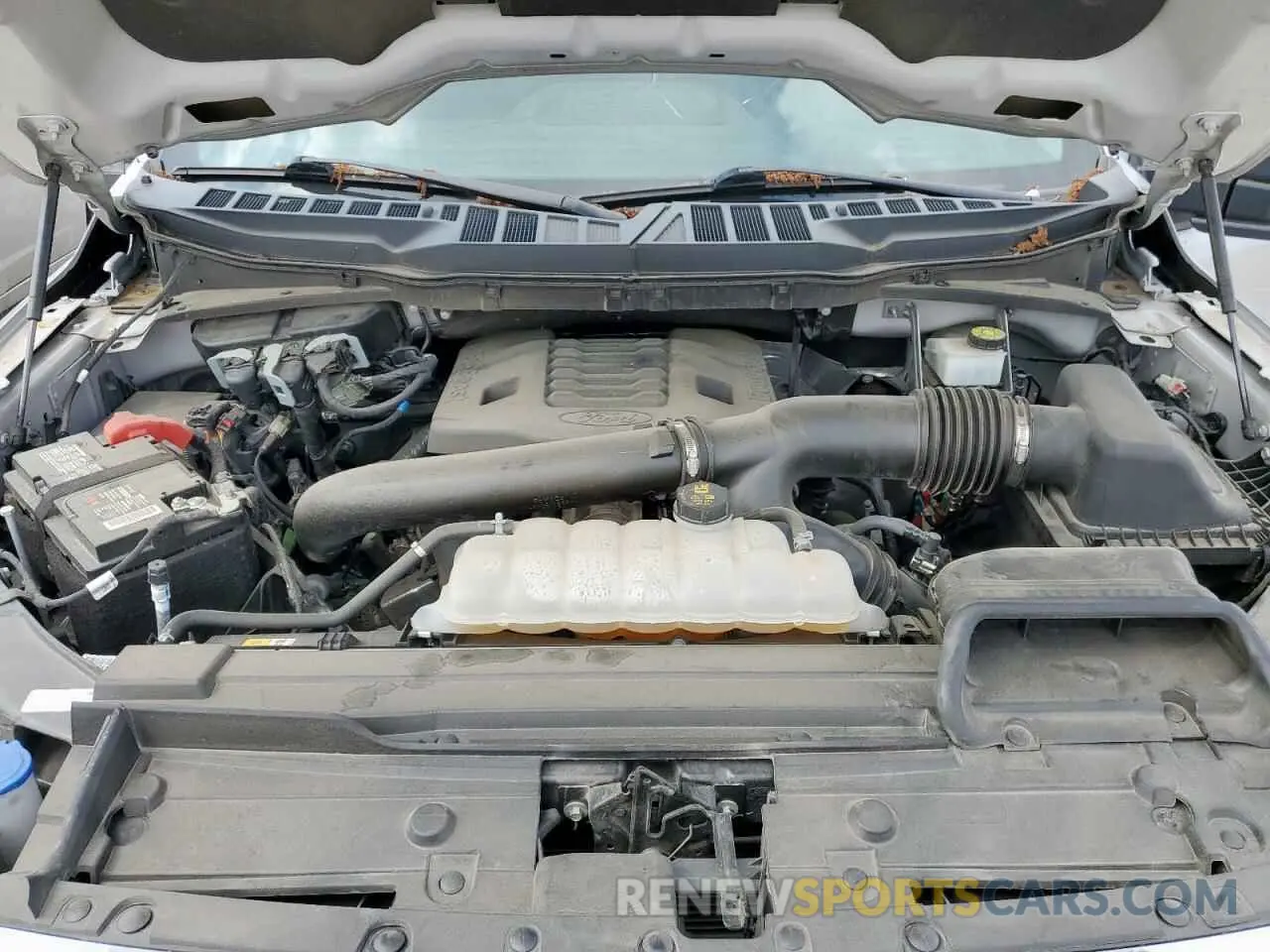 11 Photograph of a damaged car 1FTFW1E88NKF22366 FORD F-150 2022