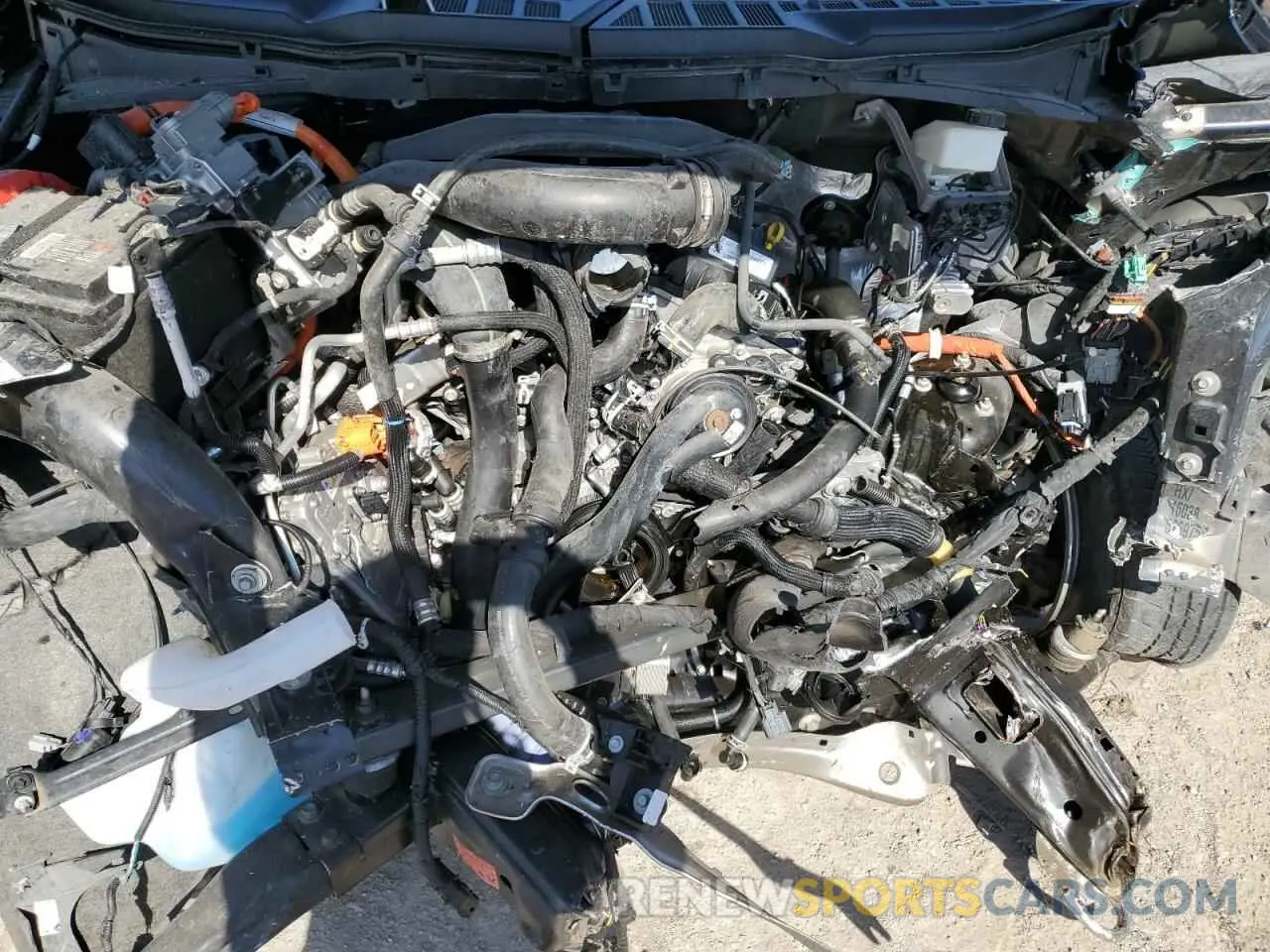12 Photograph of a damaged car 1FTFW1ED5NFB06202 FORD F-150 2022