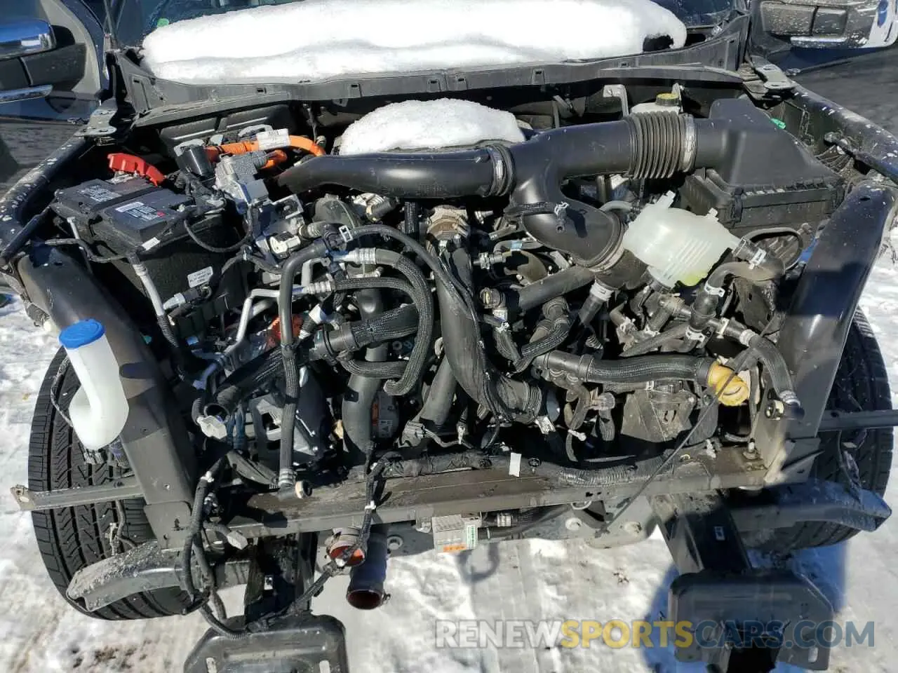 11 Photograph of a damaged car 1FTFW1ED8NFA05218 FORD F-150 2022