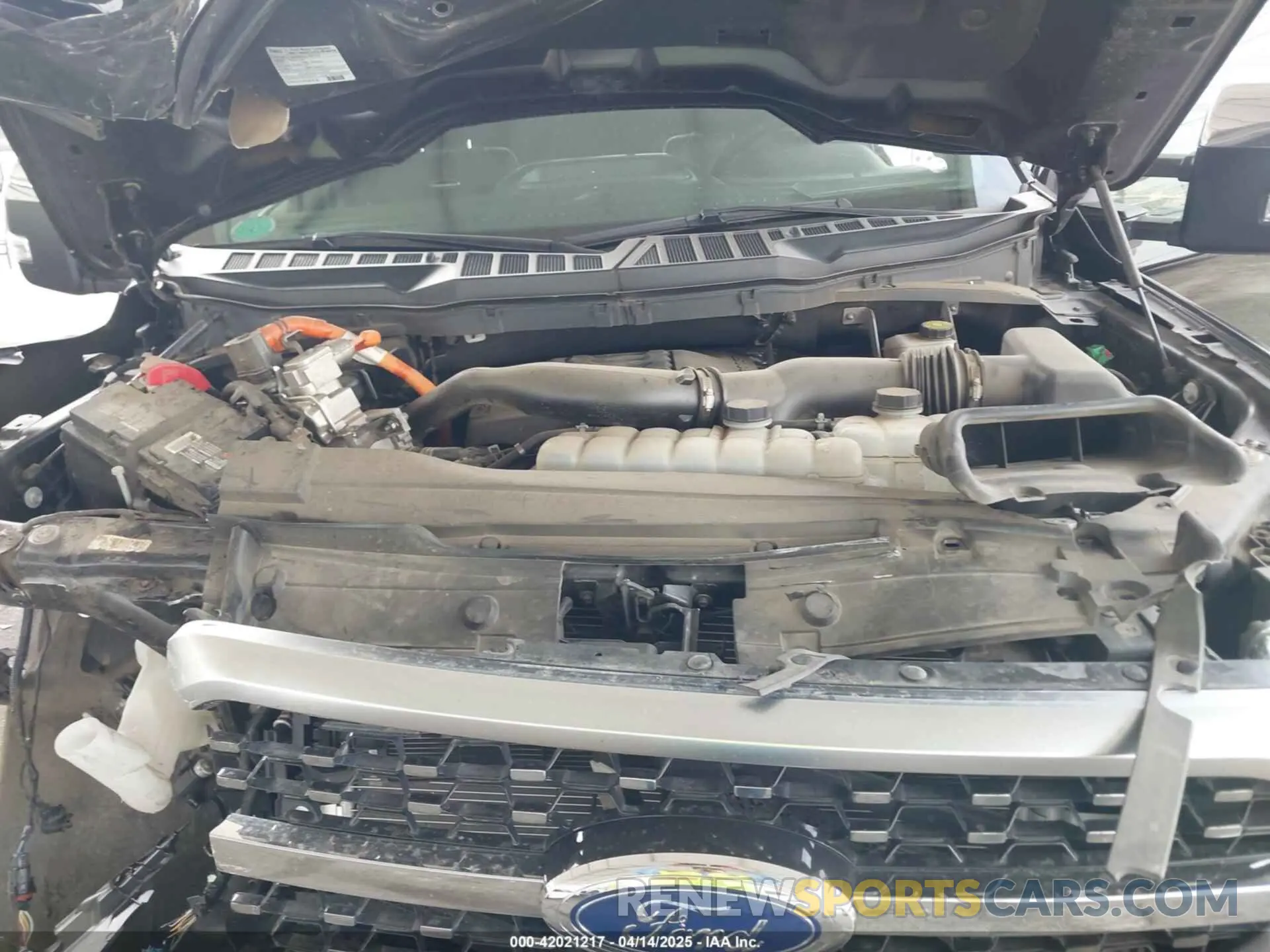 10 Photograph of a damaged car 1FTFW1ED8NFC40797 FORD F-150 2022