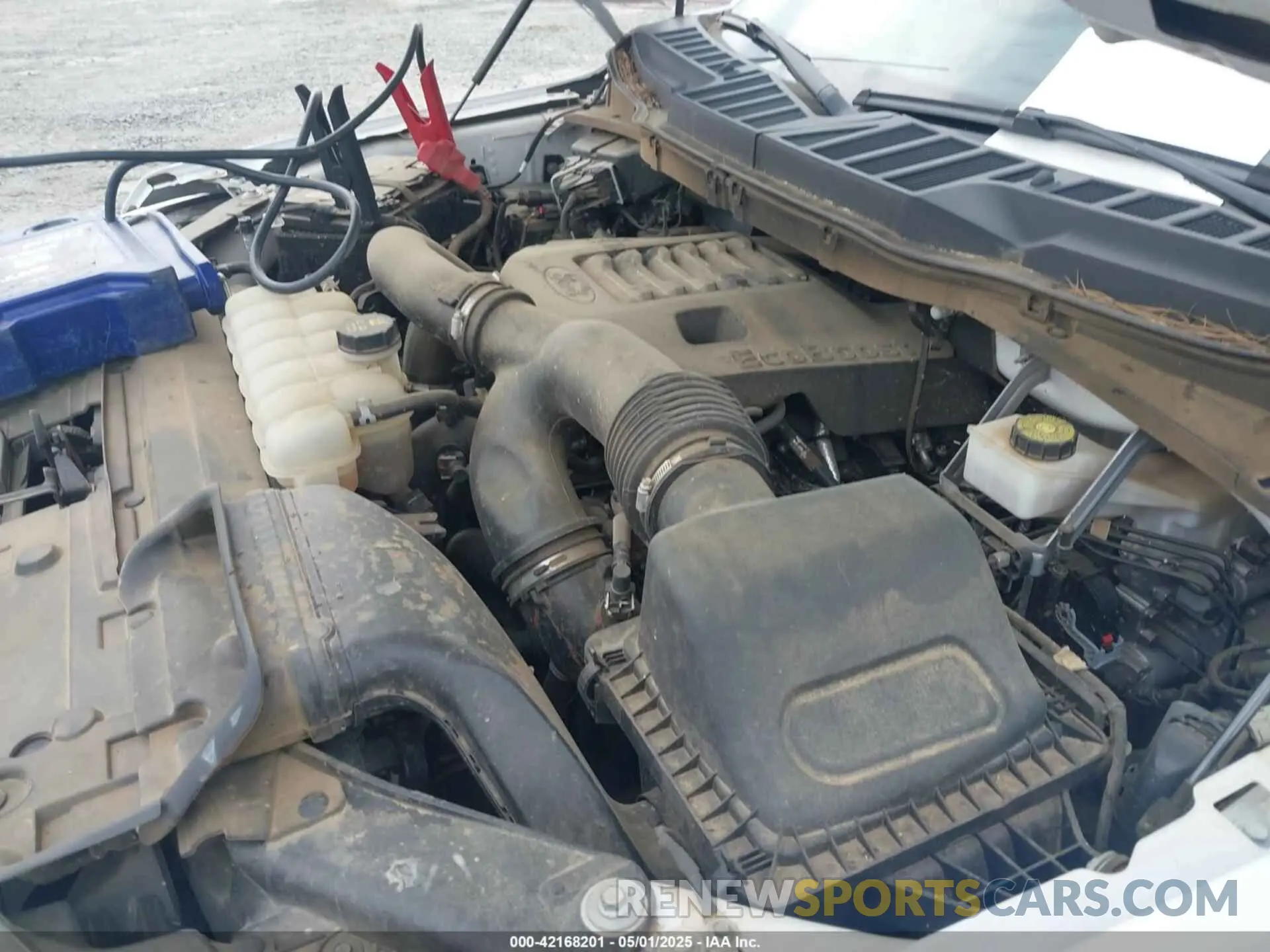 10 Photograph of a damaged car 1FTFX1E8XNKE11055 FORD F-150 2022