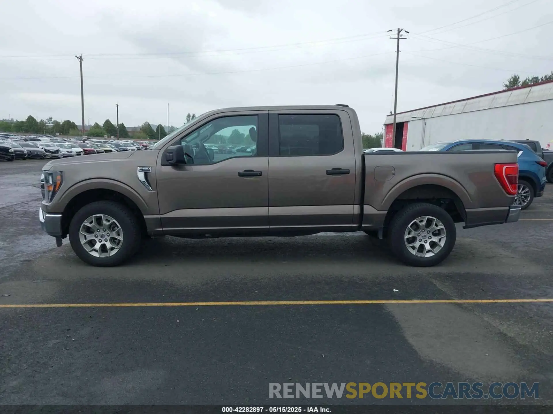 14 Photograph of a damaged car 1FTEW1C51PFB46321 FORD F-150 2023