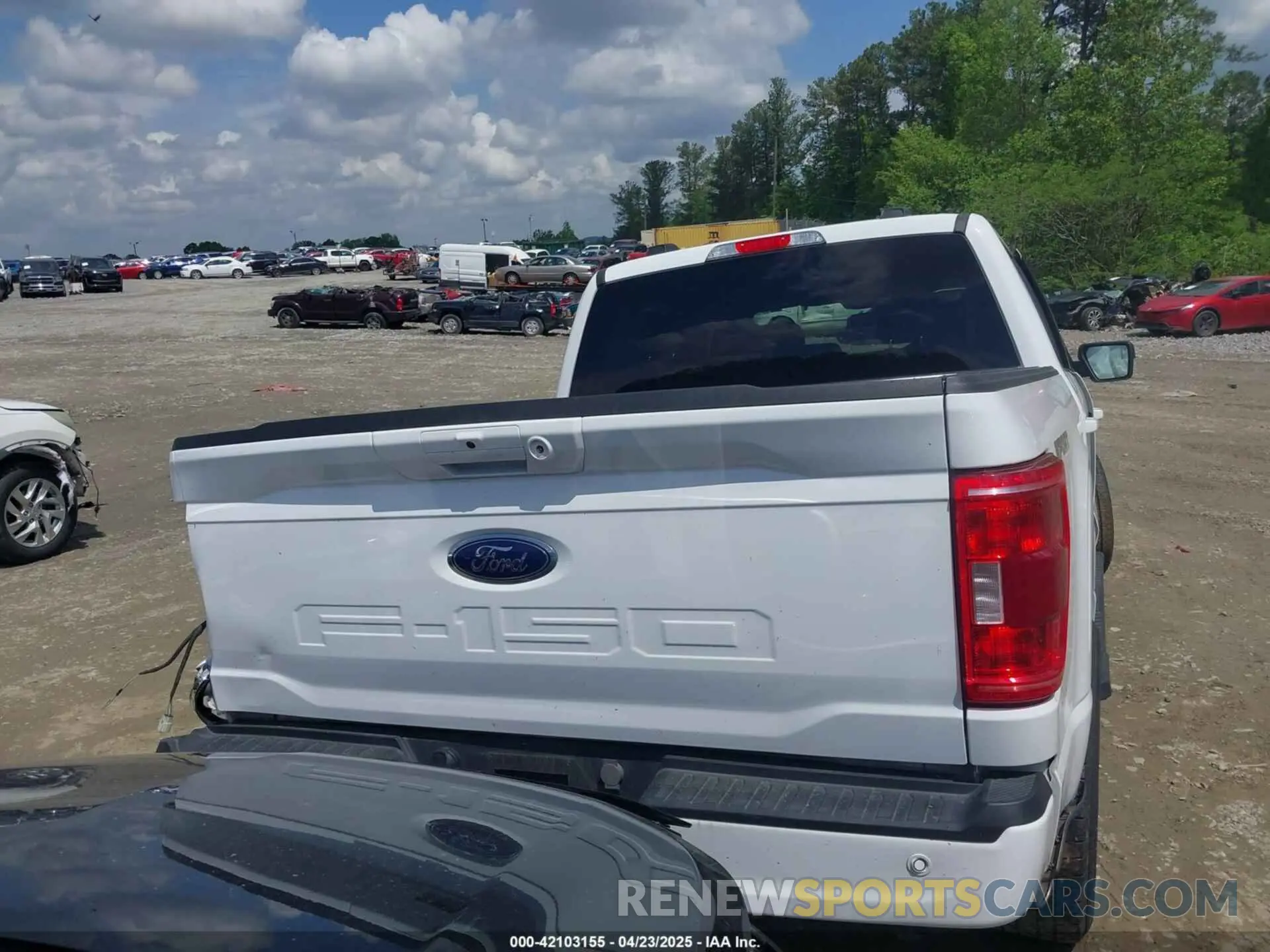 16 Photograph of a damaged car 1FTEW1C52PFC29031 FORD F-150 2023
