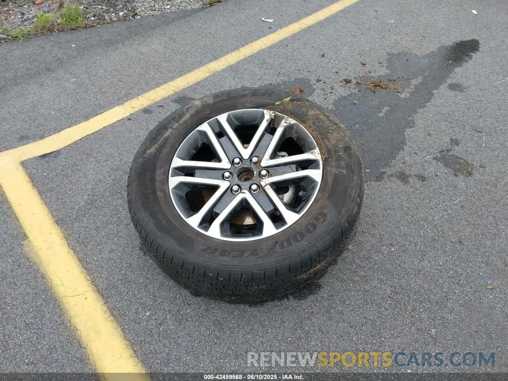 12 Photograph of a damaged car 1FTEW1C54PKD66883 FORD F-150 2023
