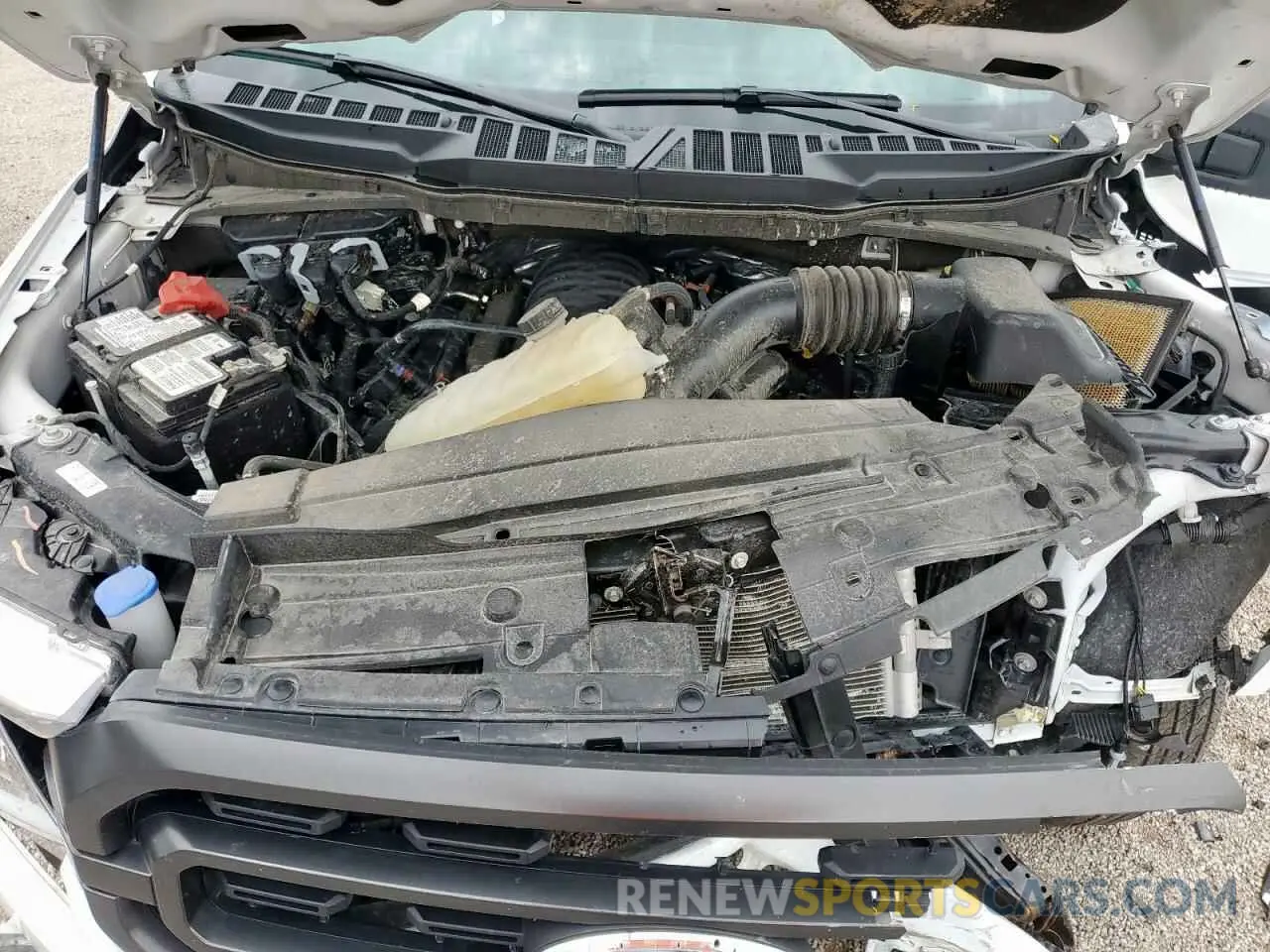 11 Photograph of a damaged car 1FTEW1C58PFC56931 FORD F-150 2023