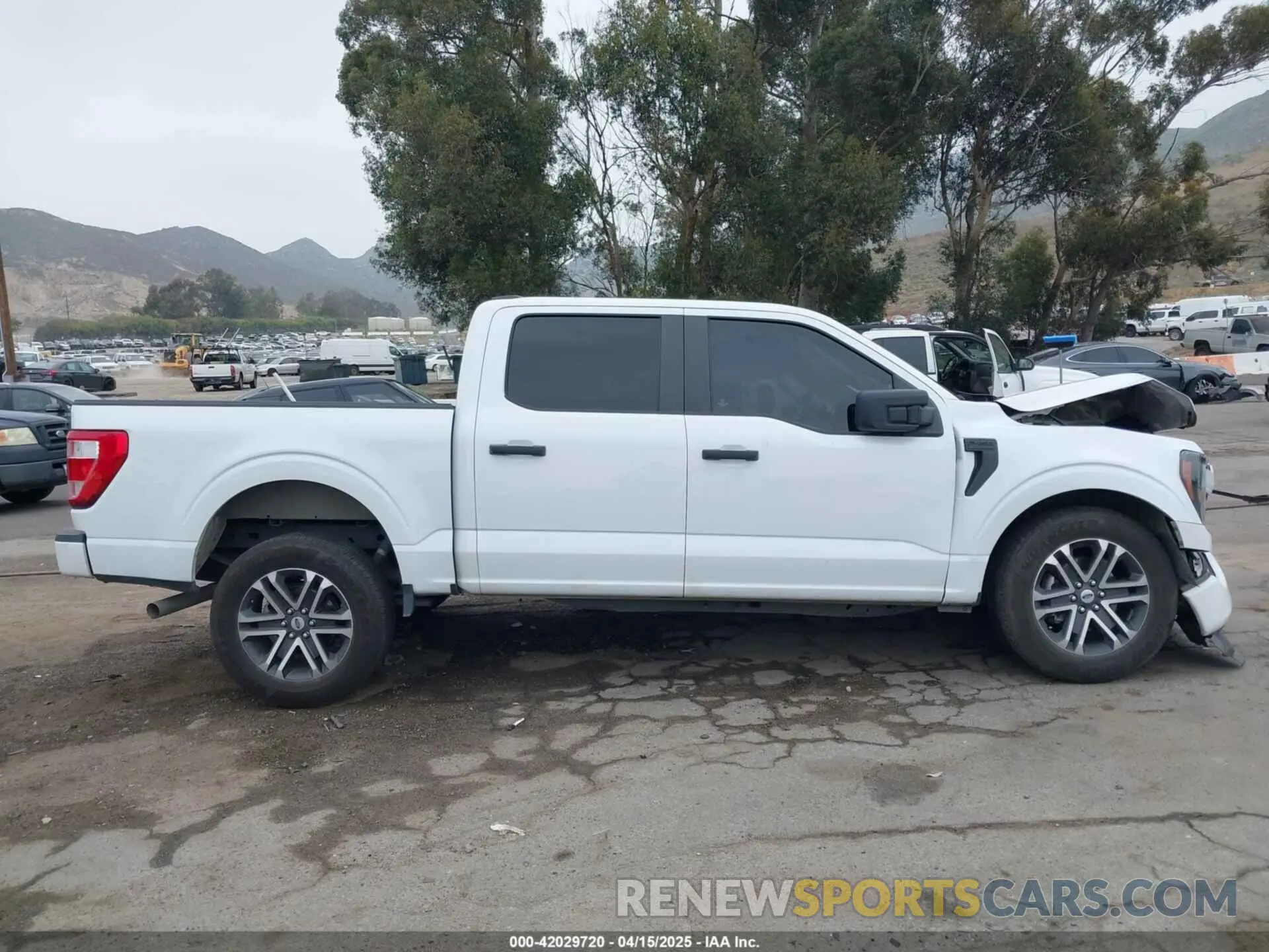 13 Photograph of a damaged car 1FTEW1C59PFB00252 FORD F-150 2023