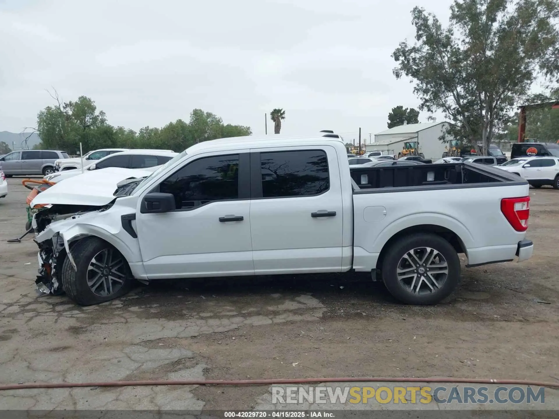14 Photograph of a damaged car 1FTEW1C59PFB00252 FORD F-150 2023