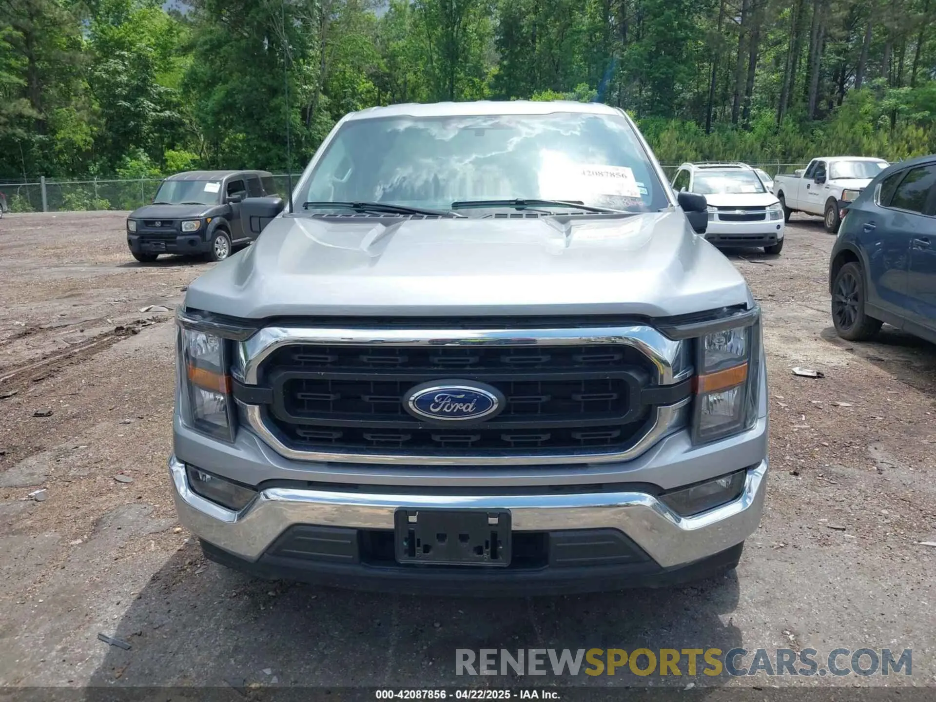 12 Photograph of a damaged car 1FTEW1C84PKD69454 FORD F-150 2023