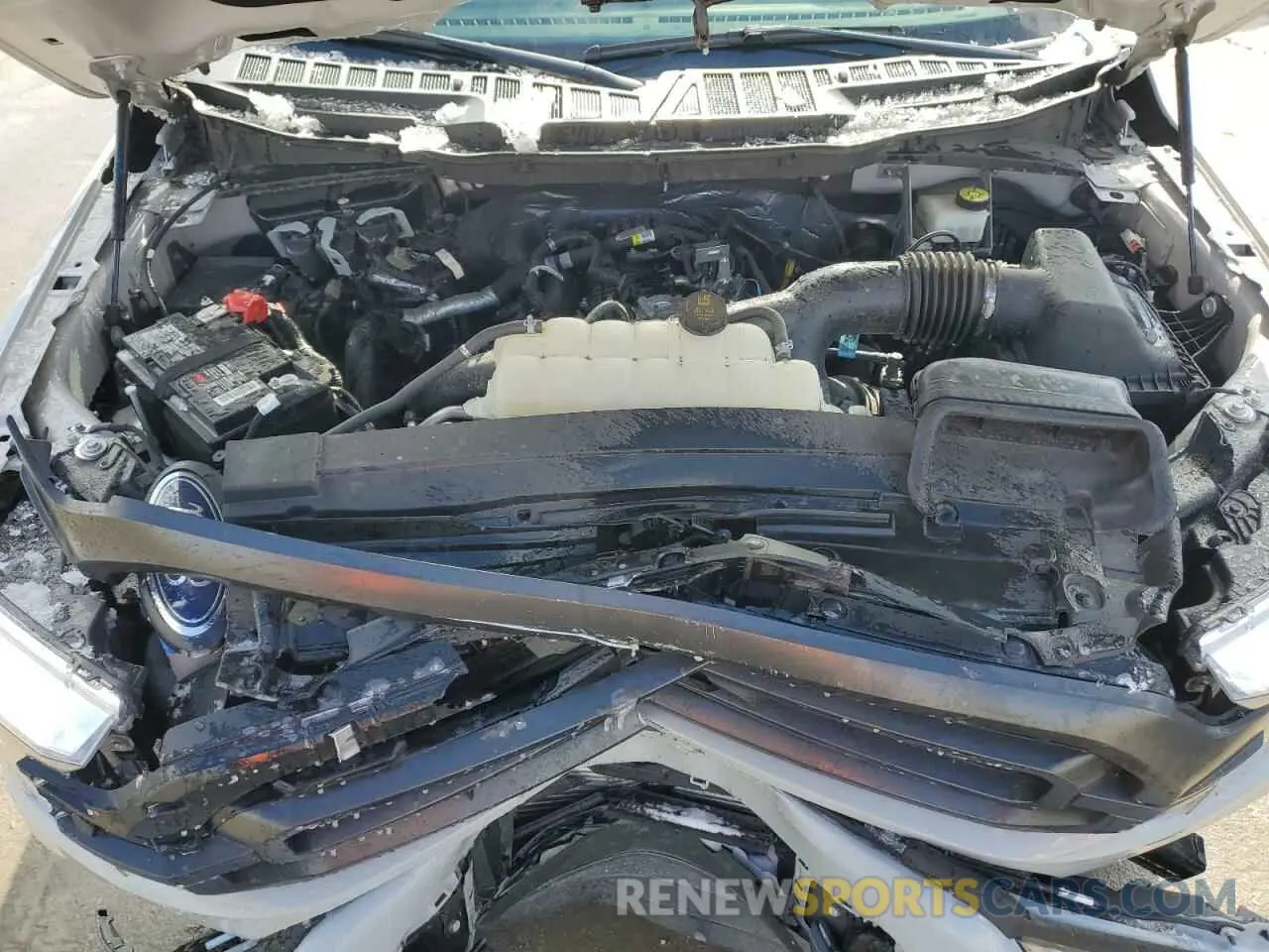 12 Photograph of a damaged car 1FTEW1CP4PKD26319 FORD F-150 2023
