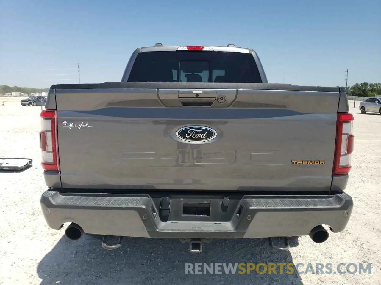 6 Photograph of a damaged car 1FTEW1E85PFC90414 FORD F-150 2023