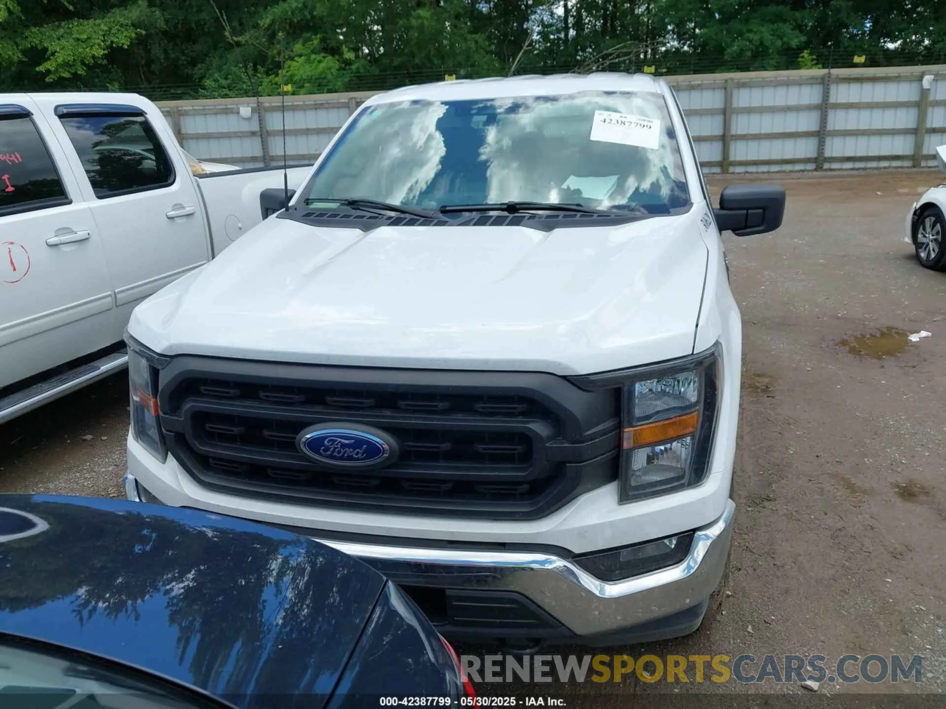 12 Photograph of a damaged car 1FTEW1EP2PFB92321 FORD F-150 2023