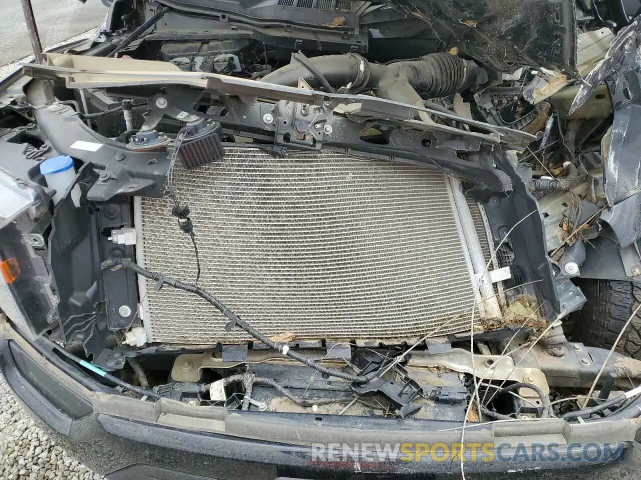 11 Photograph of a damaged car 1FTEW1EP2PKG19097 FORD F-150 2023