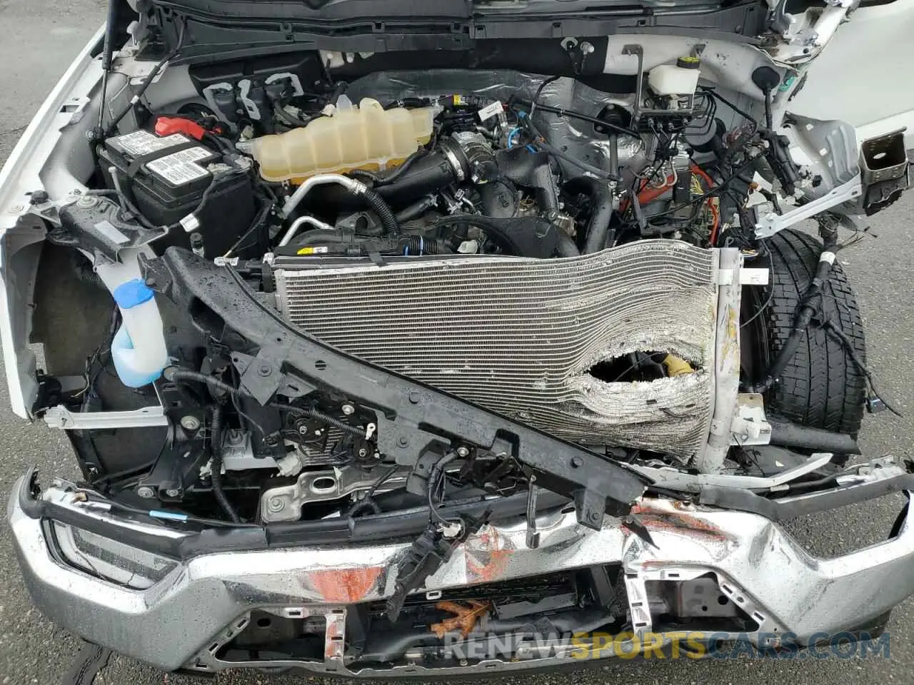 12 Photograph of a damaged car 1FTEW1EP6PFB32591 FORD F-150 2023