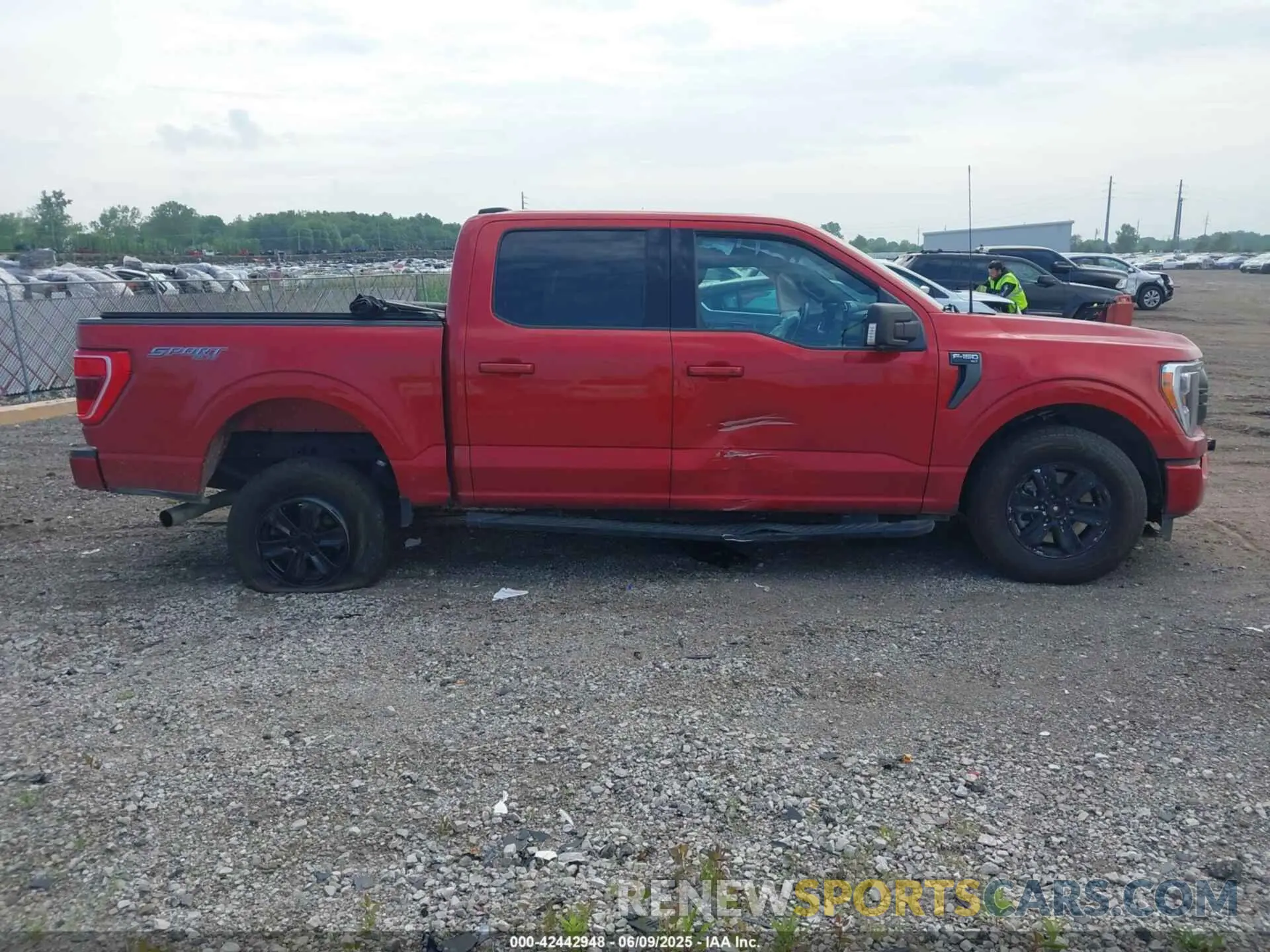 13 Photograph of a damaged car 1FTEW1EP6PKE47429 FORD F-150 2023