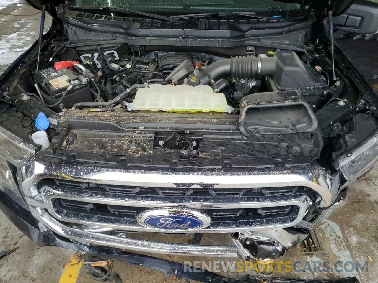 12 Photograph of a damaged car 1FTFW1E52PKD30675 FORD F-150 2023