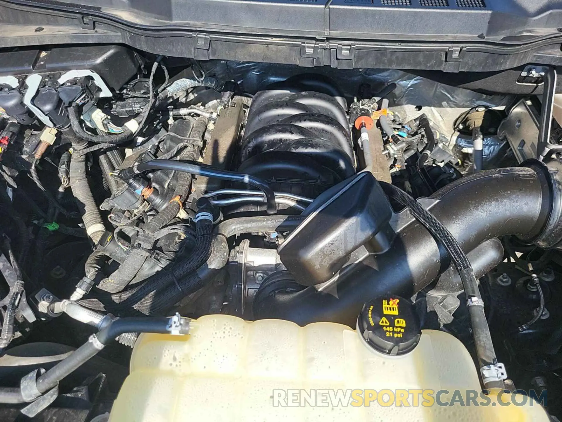 3 Photograph of a damaged car 1FTFW1E55PFA08251 FORD F-150 2023