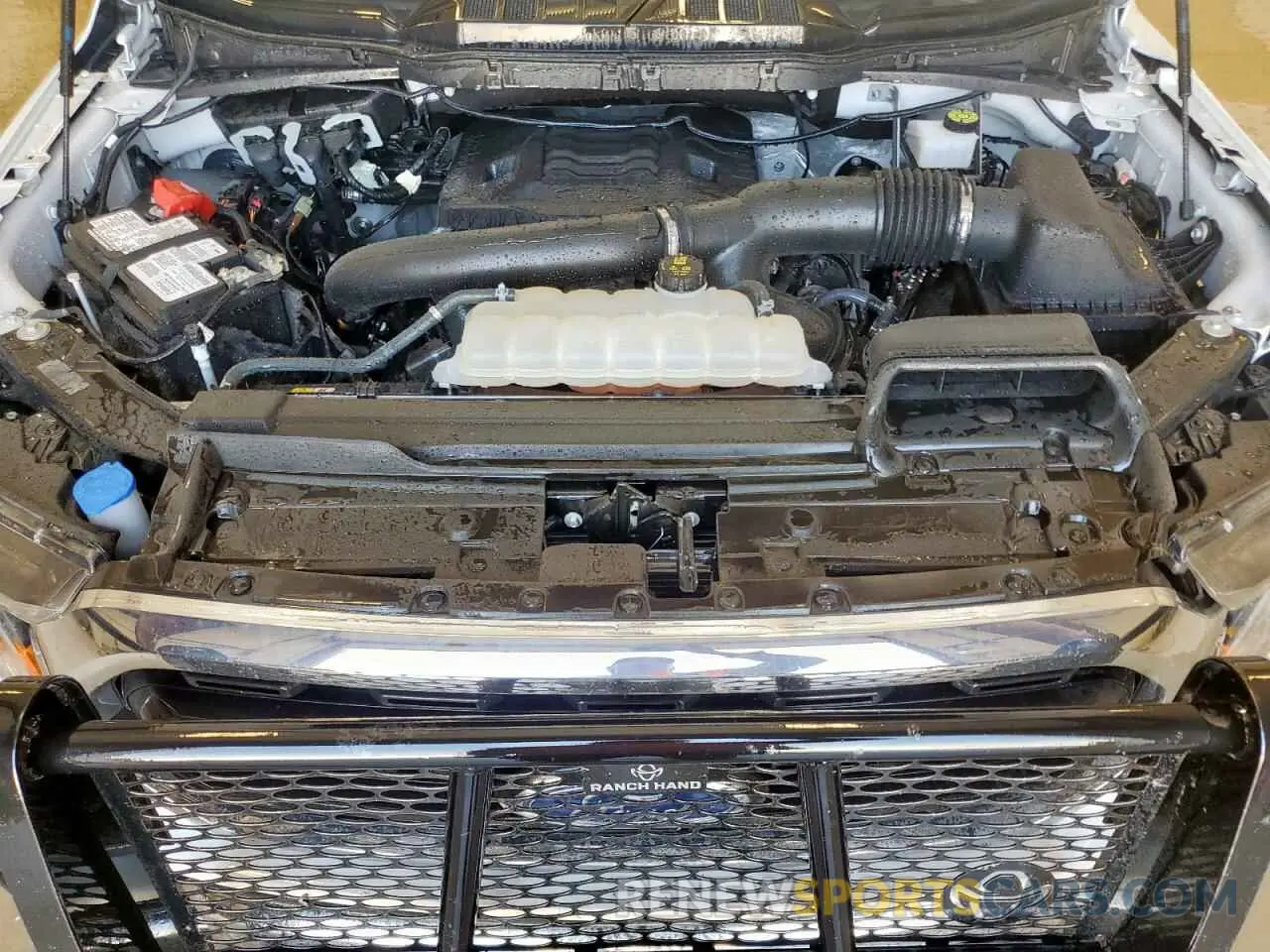 11 Photograph of a damaged car 1FTFW1E82PFB56559 FORD F-150 2023