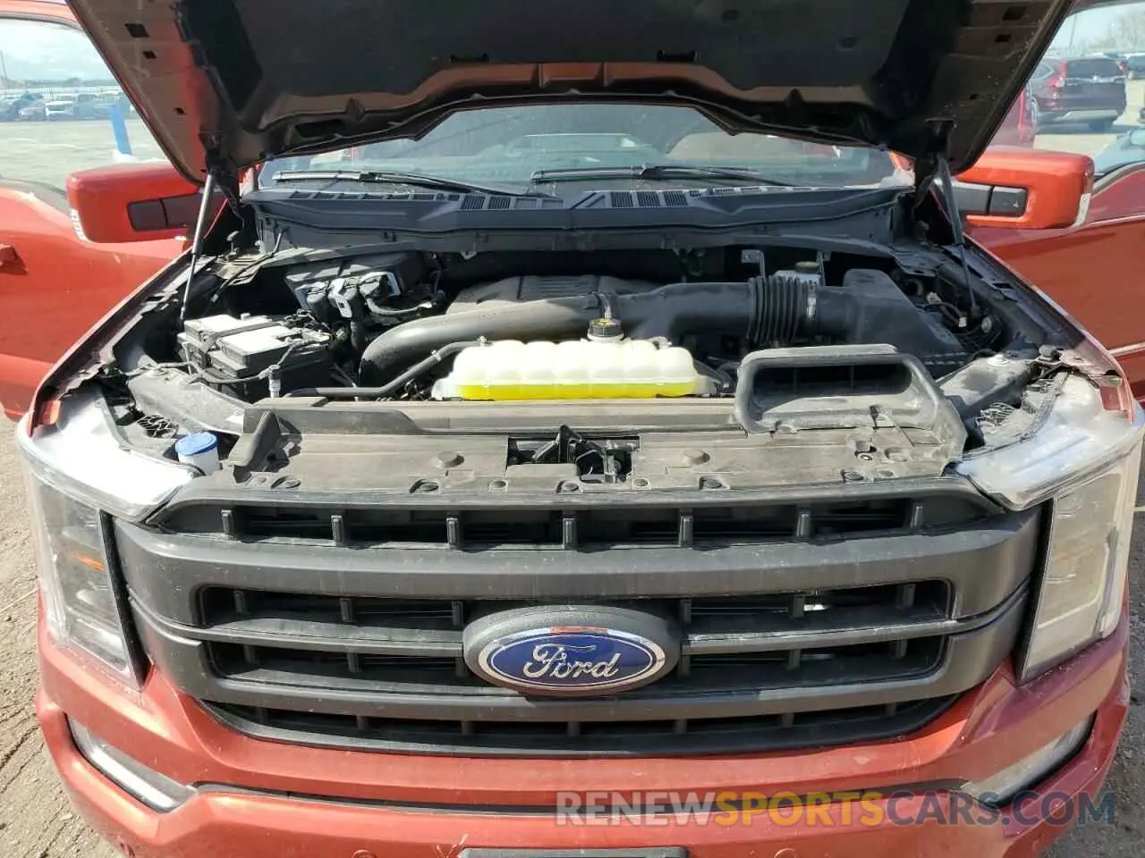 11 Photograph of a damaged car 1FTFW1E83PKG11247 FORD F-150 2023