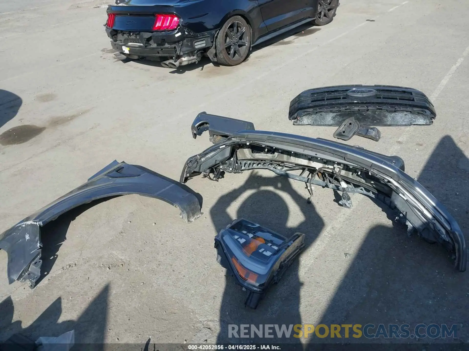12 Photograph of a damaged car 1FTFW1E85PFA14254 FORD F-150 2023
