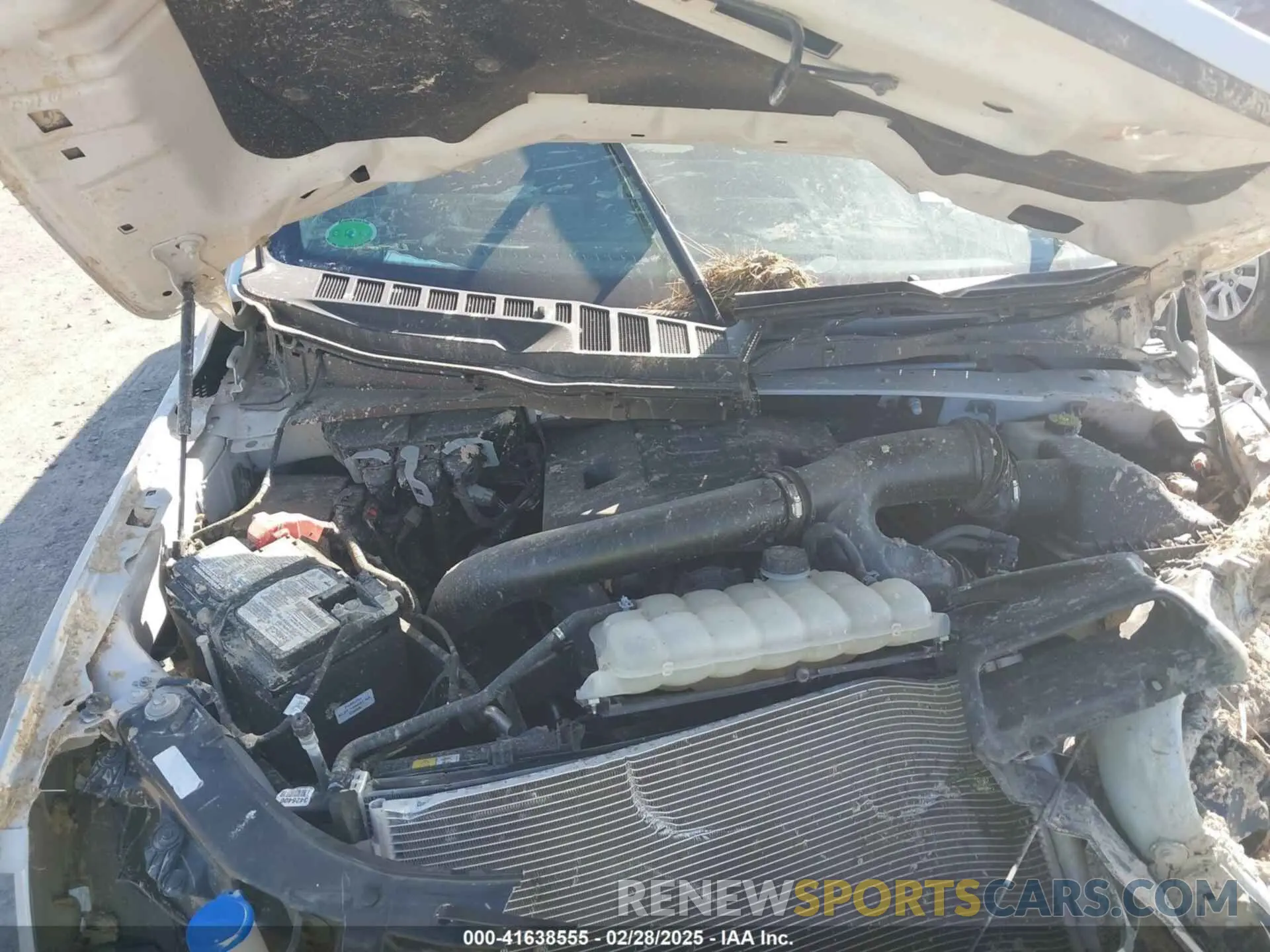 10 Photograph of a damaged car 1FTFW1E89PFA48133 FORD F-150 2023