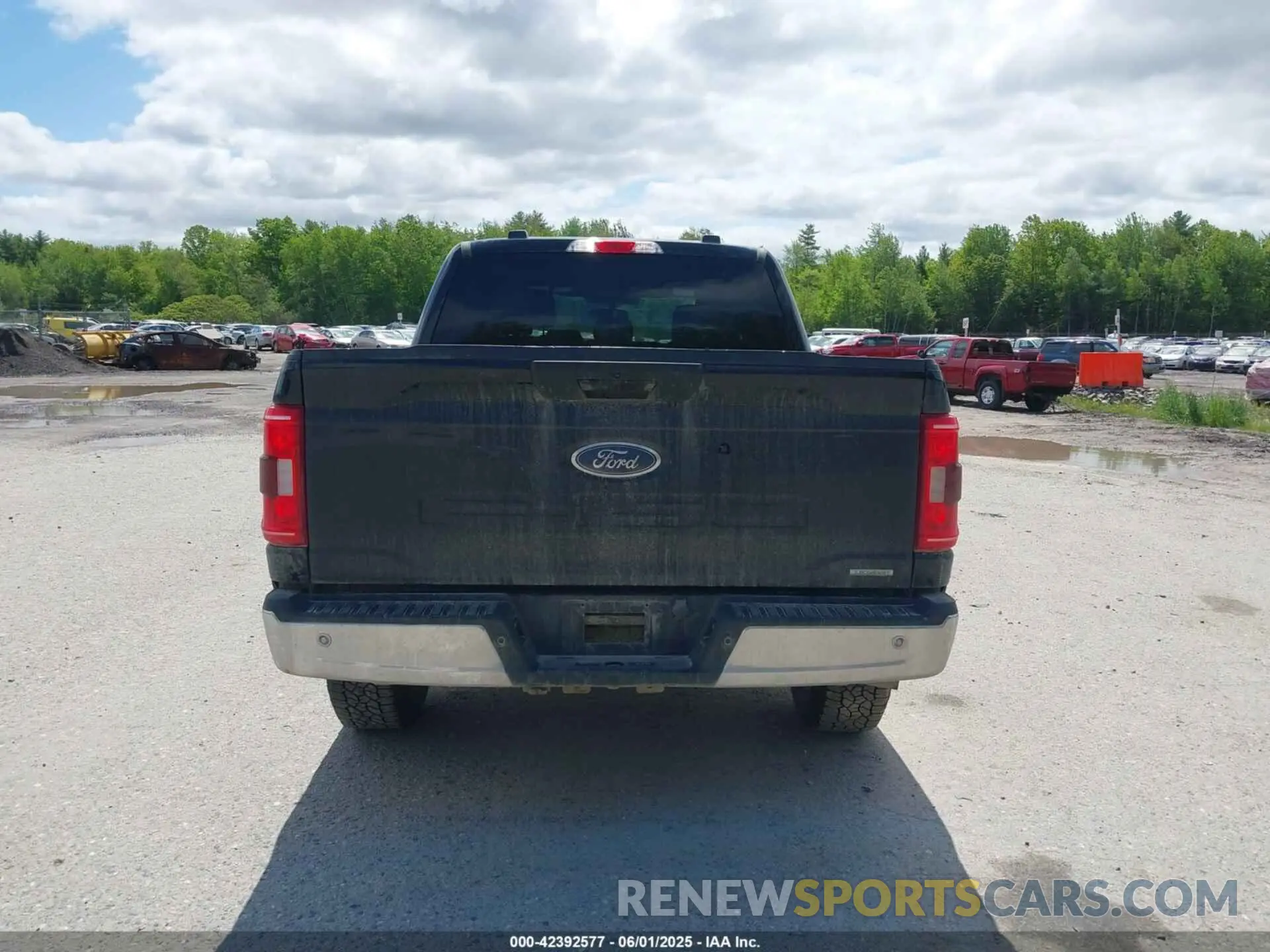 16 Photograph of a damaged car 1FTFW1E8XPFC68638 FORD F-150 2023