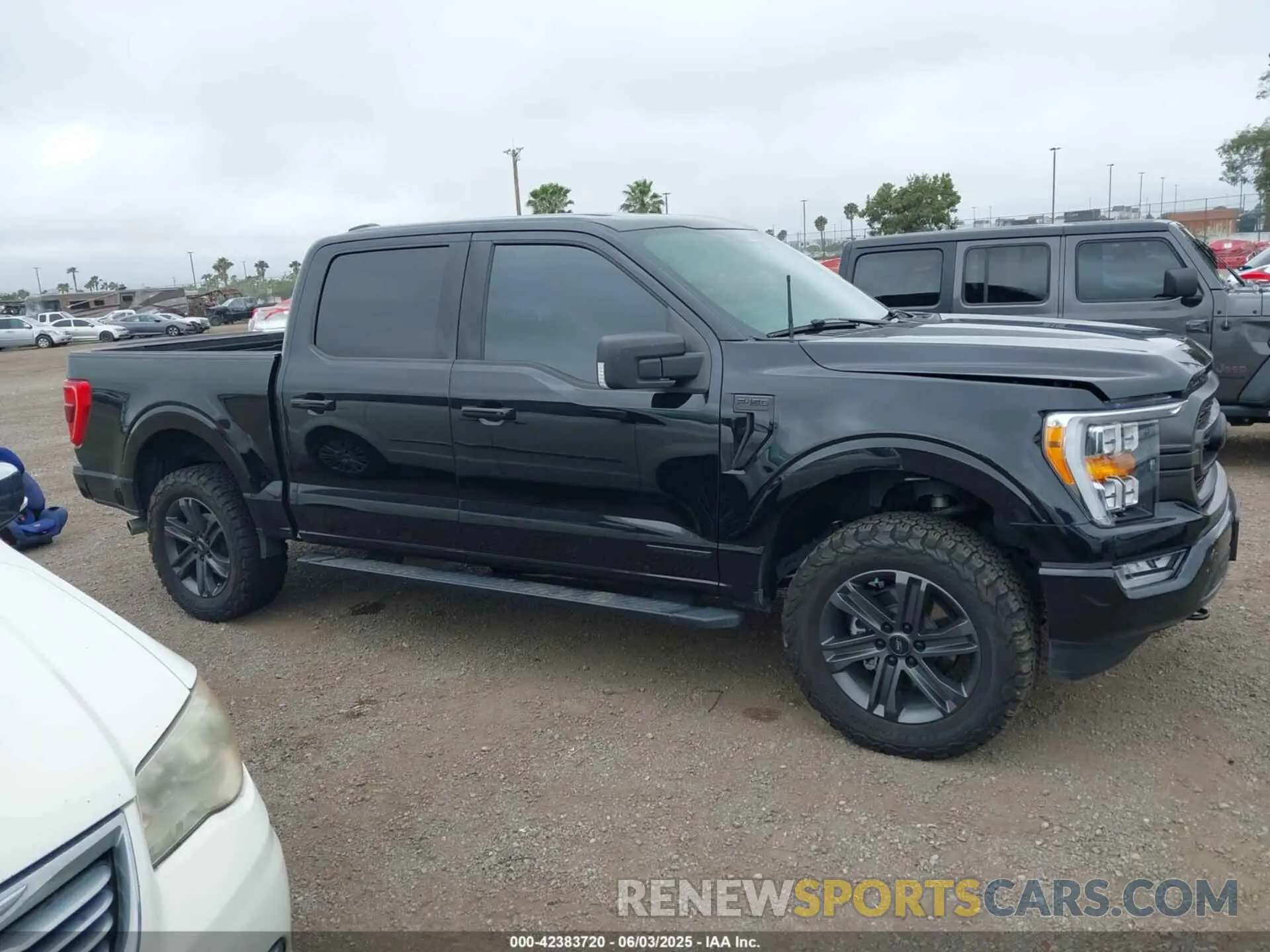 12 Photograph of a damaged car 1FTFW1ED6PFA07908 FORD F-150 2023