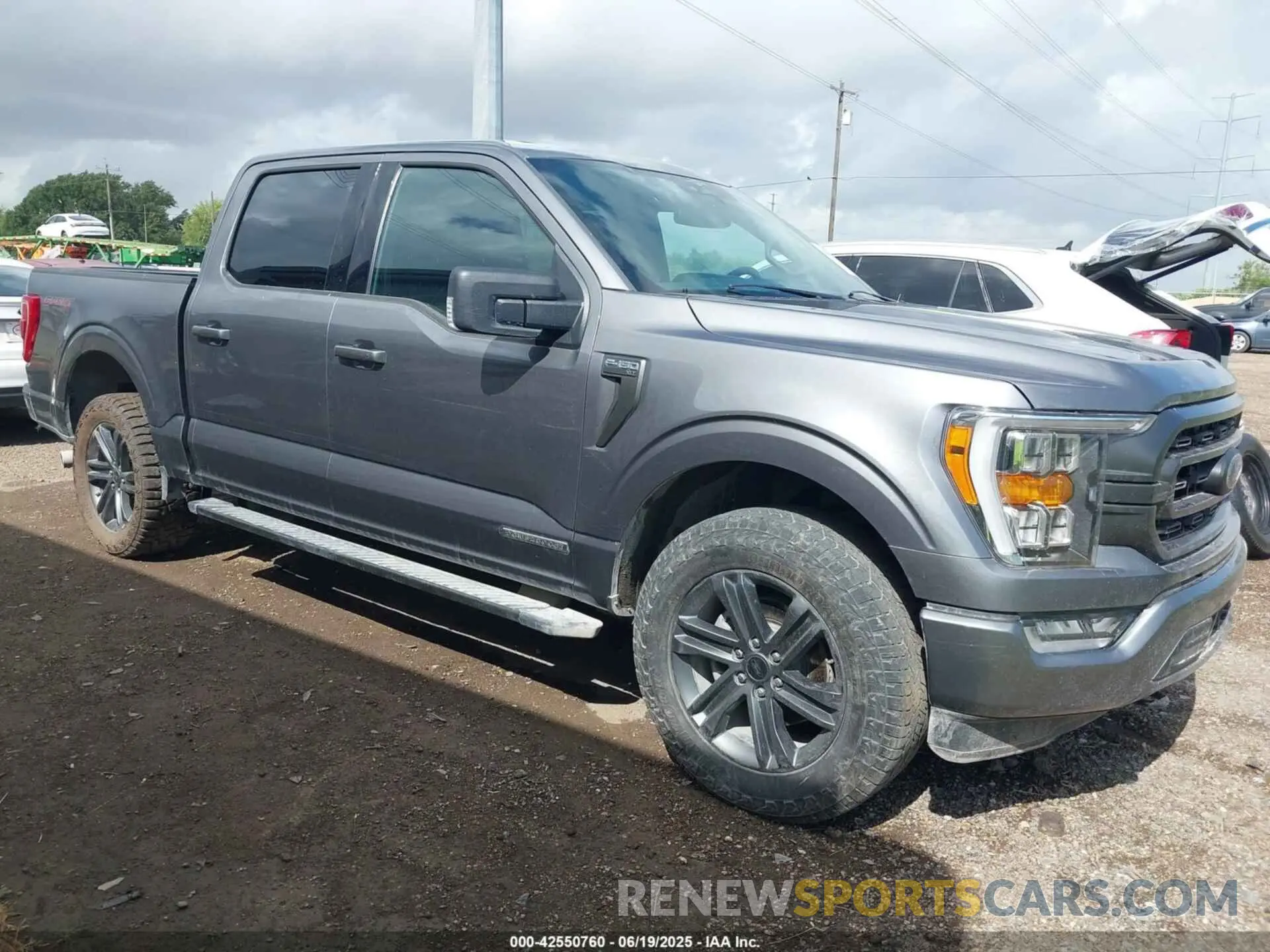 12 Photograph of a damaged car 1FTFW1ED6PFC74448 FORD F-150 2023