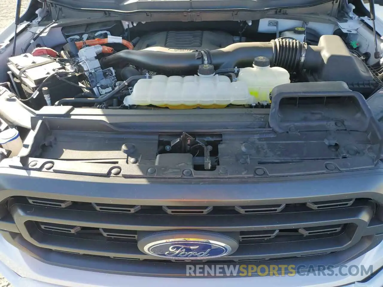 11 Photograph of a damaged car 1FTFW1ED6PFD10526 FORD F-150 2023