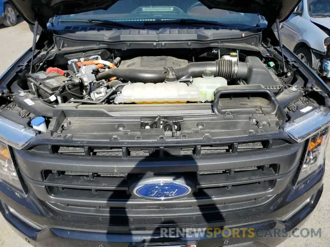 11 Photograph of a damaged car 1FTFW1ED9PFC82849 FORD F-150 2023