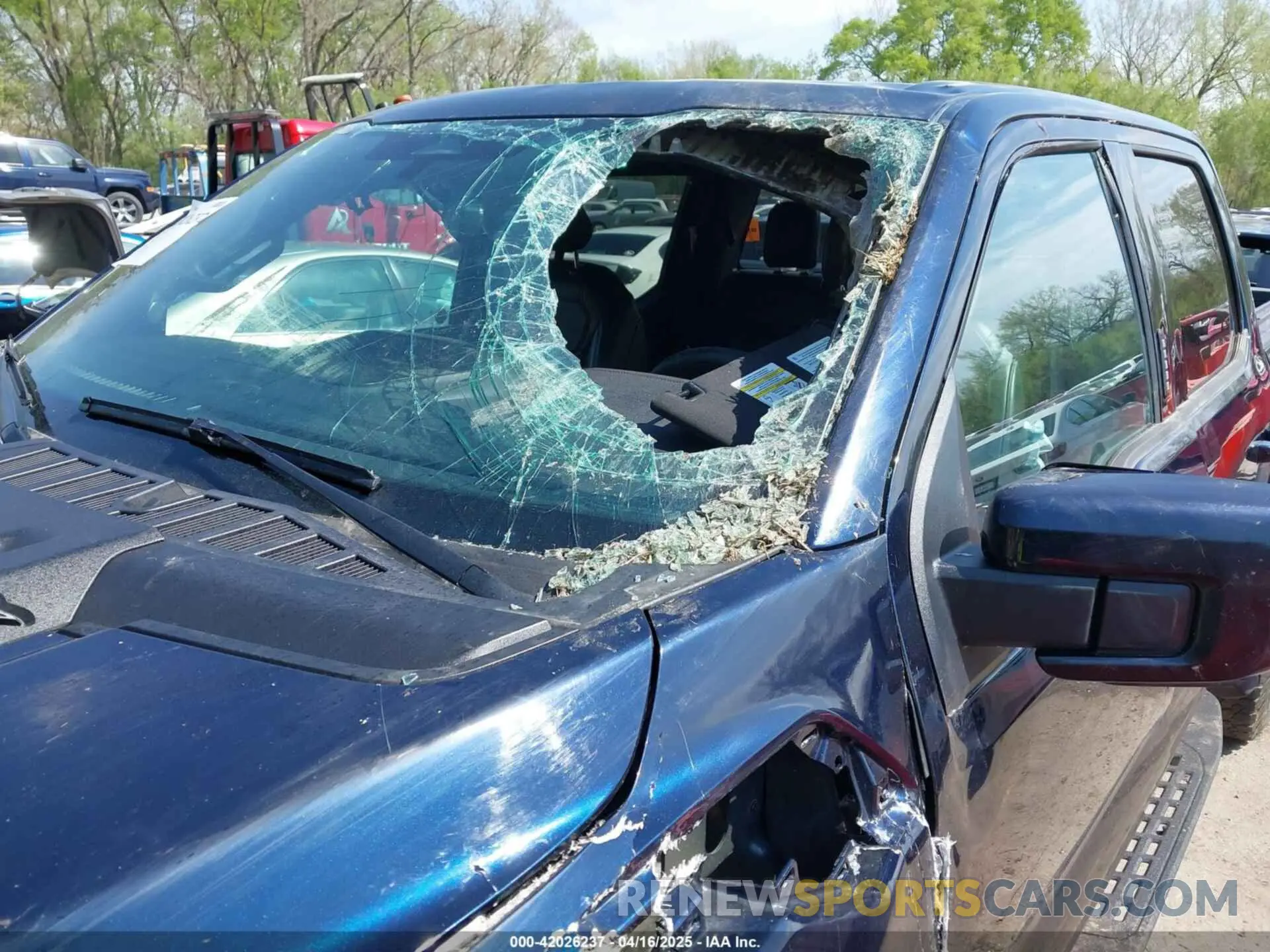 12 Photograph of a damaged car 1FTFW1RG4PFC88935 FORD F-150 2023