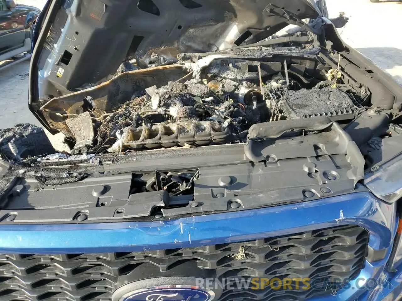11 Photograph of a damaged car 1FTFX1E54PKF42460 FORD F-150 2023