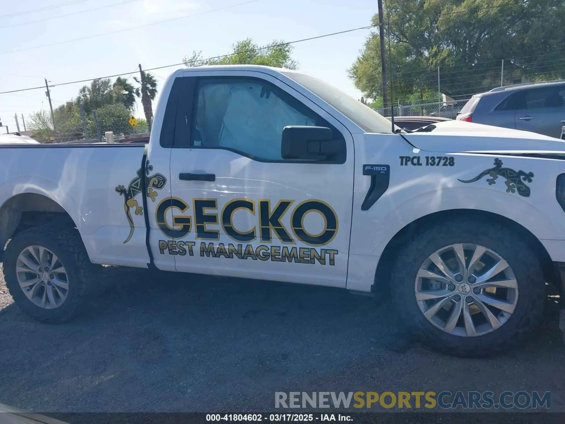 12 Photograph of a damaged car 1FTMF1C57PKD08603 FORD F-150 2023