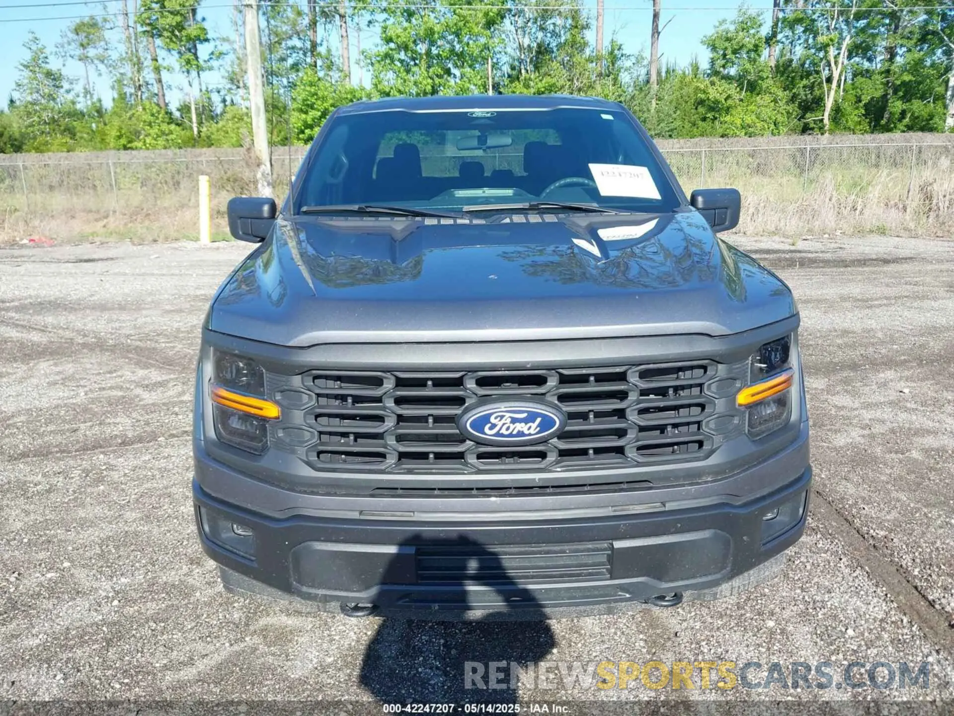 12 Photograph of a damaged car 1FTFW2L5XRFA14090 FORD F-150 2024